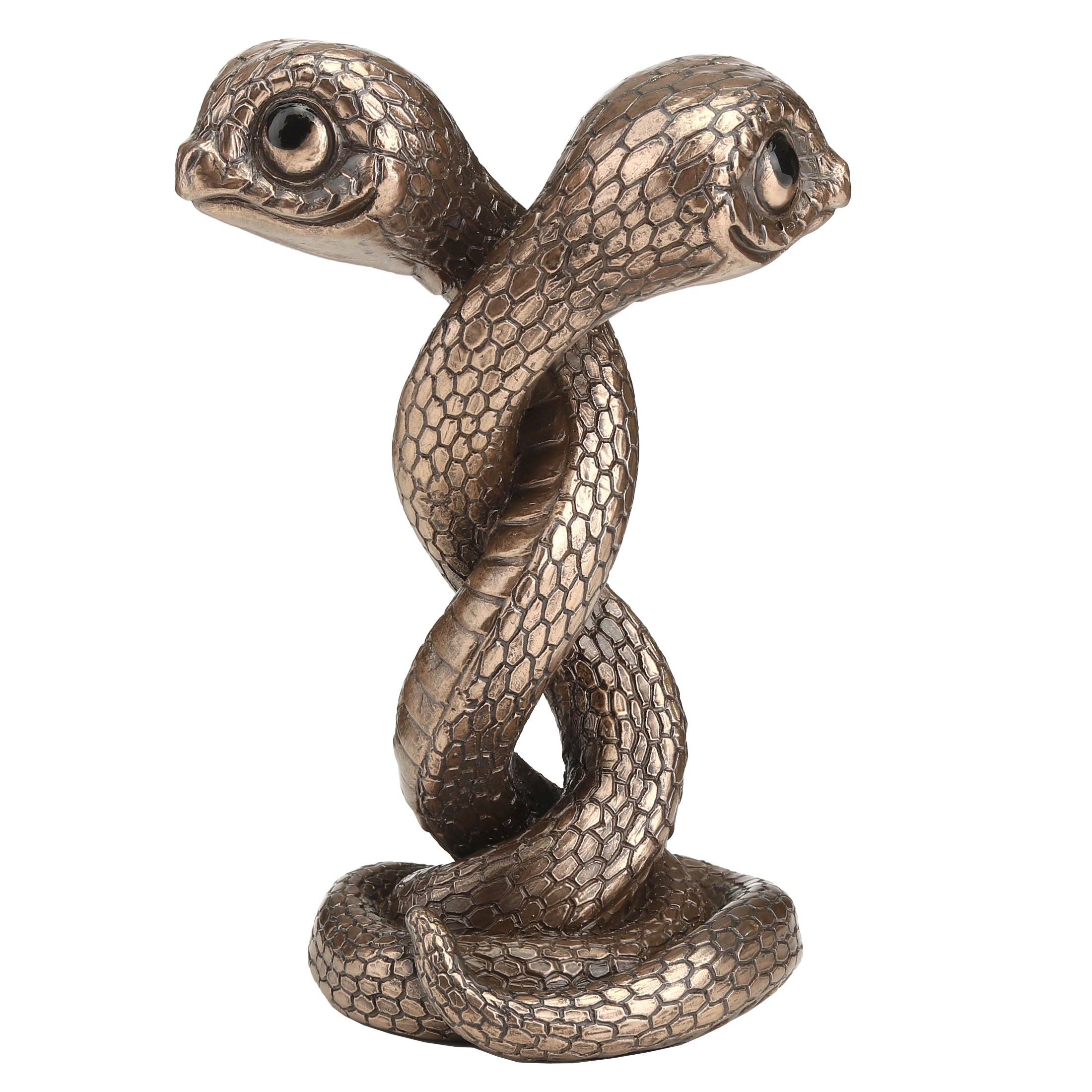 Twin Snake Spiral