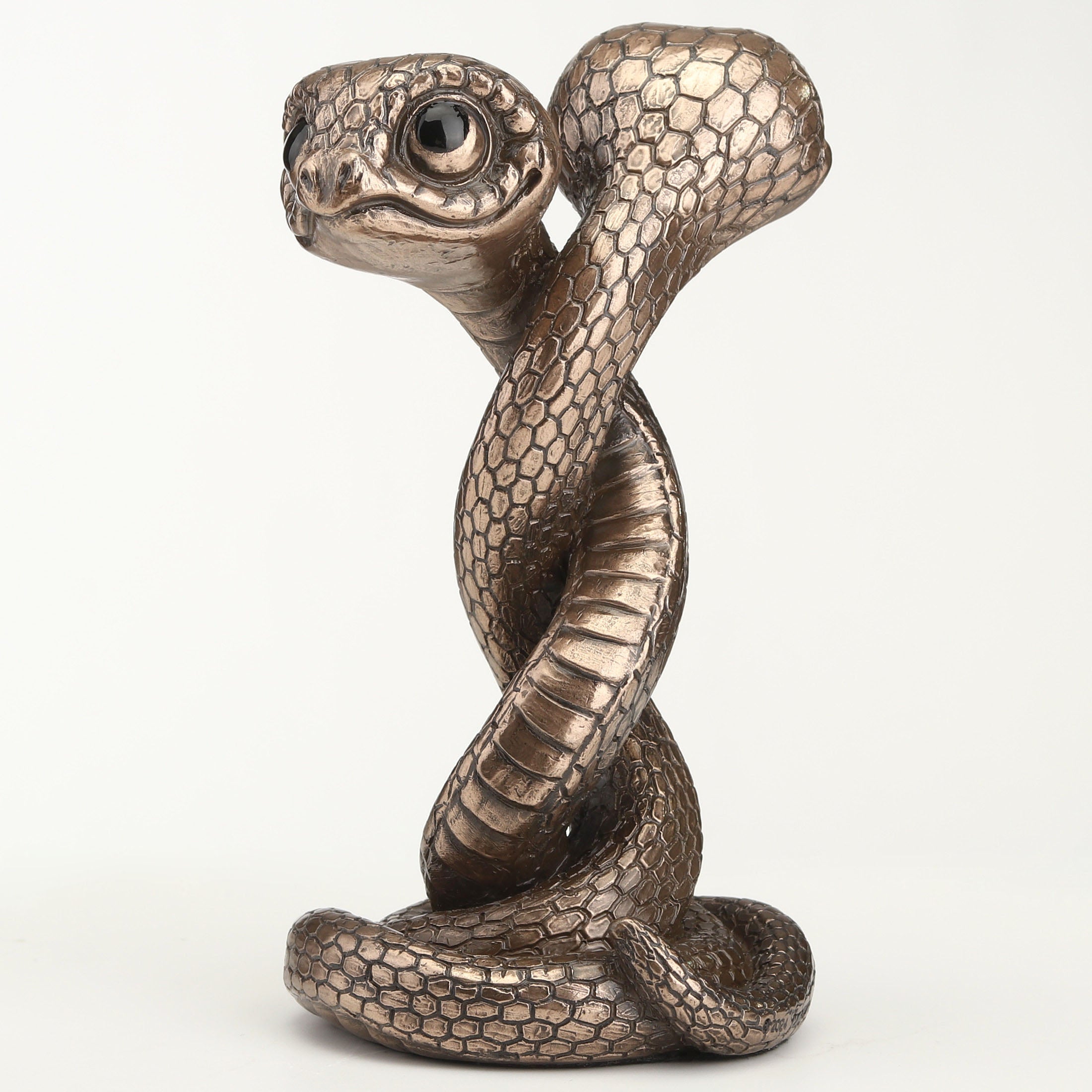 Twin Snake Spiral
