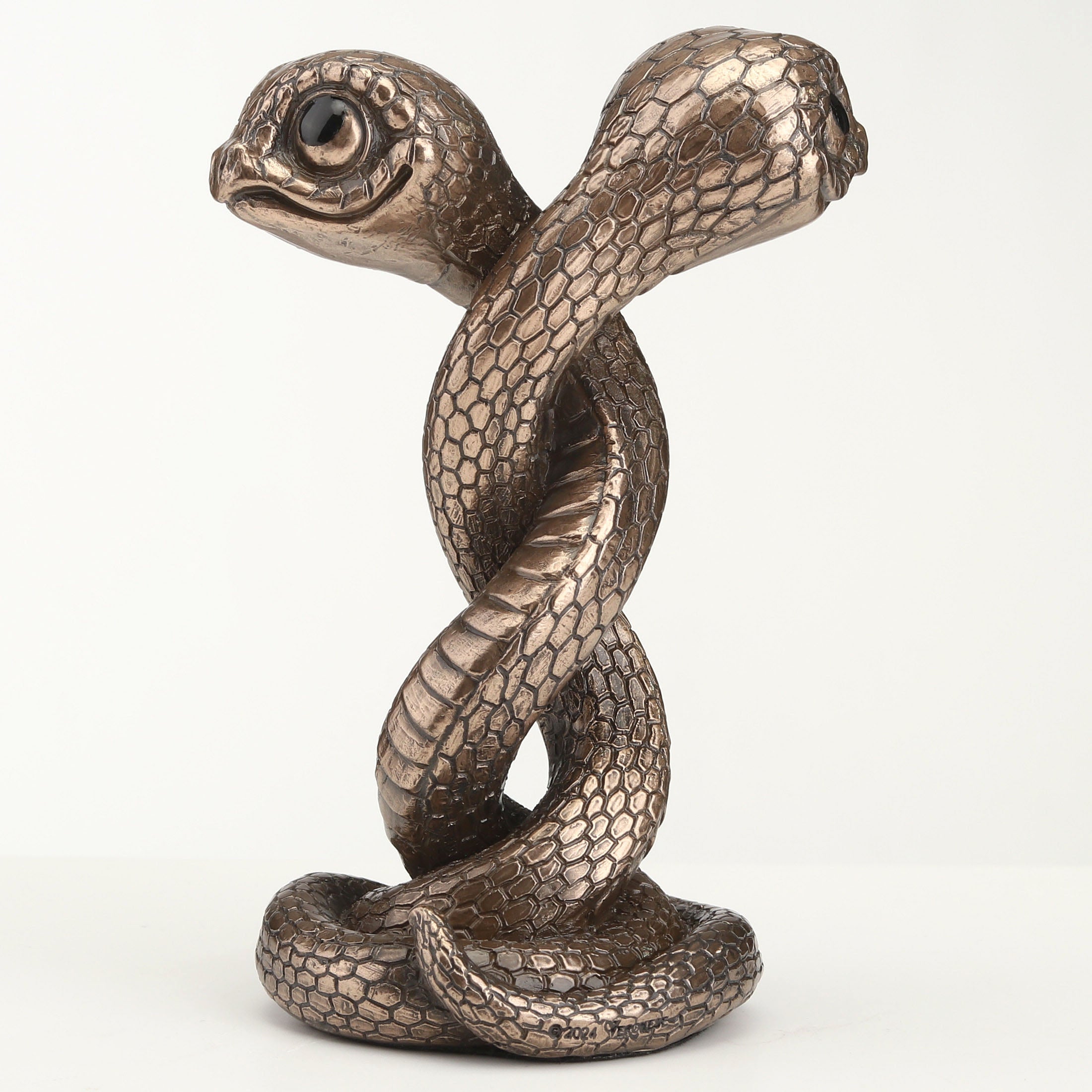 Twin Snake Spiral