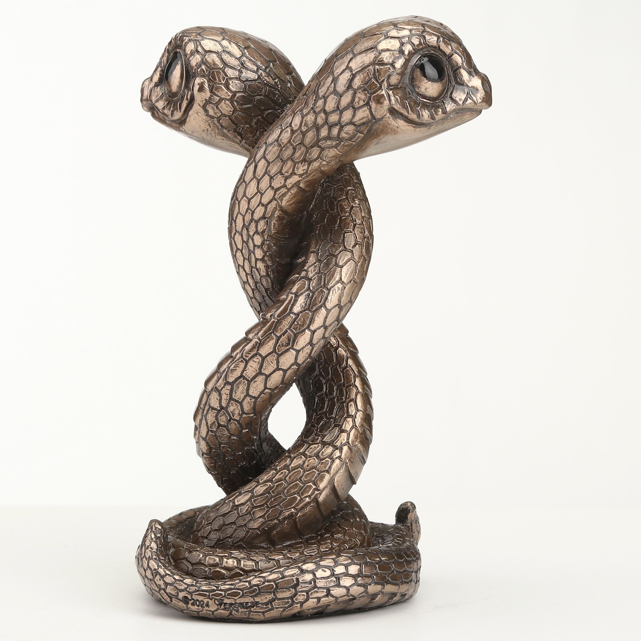 Twin Snake Spiral