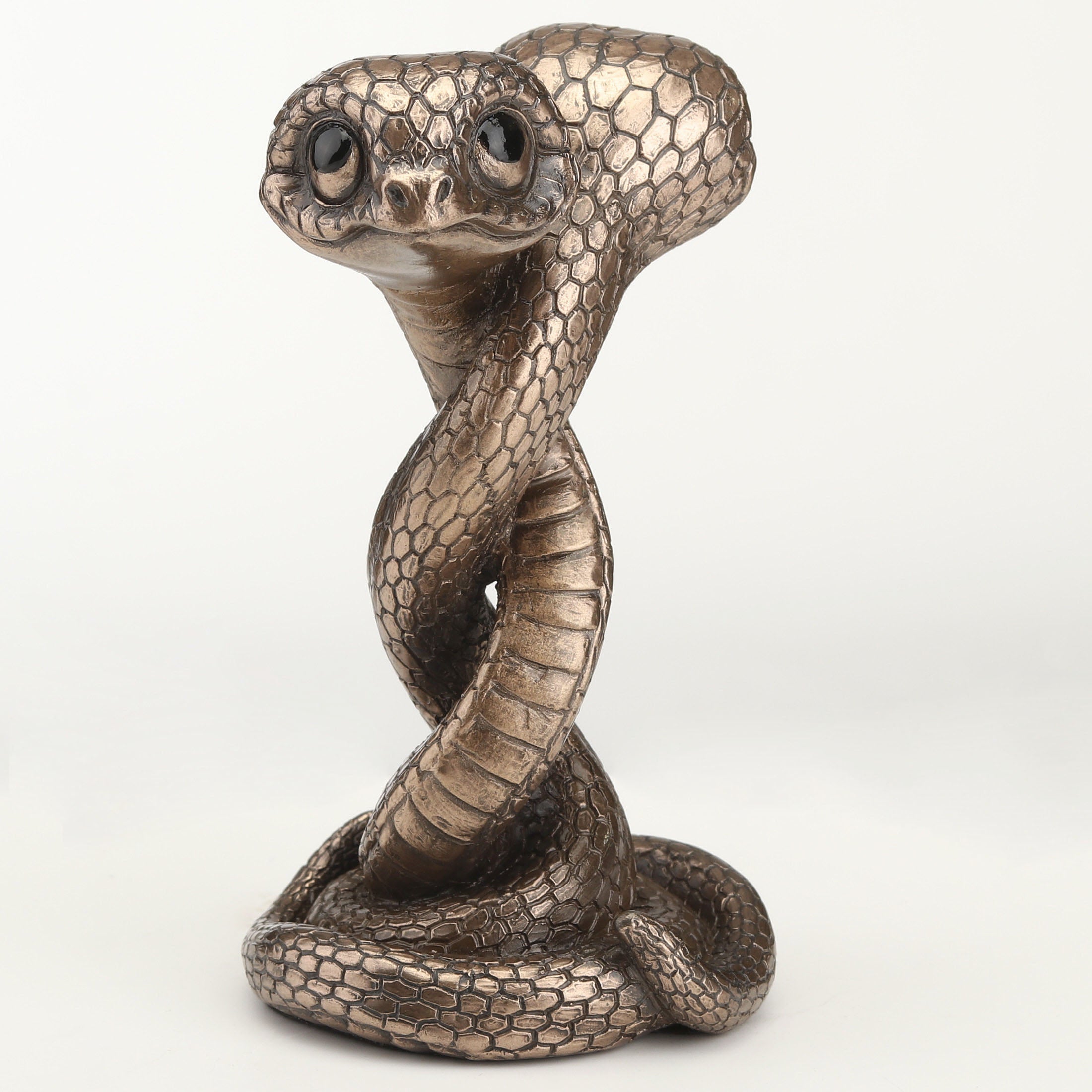 Twin Snake Spiral