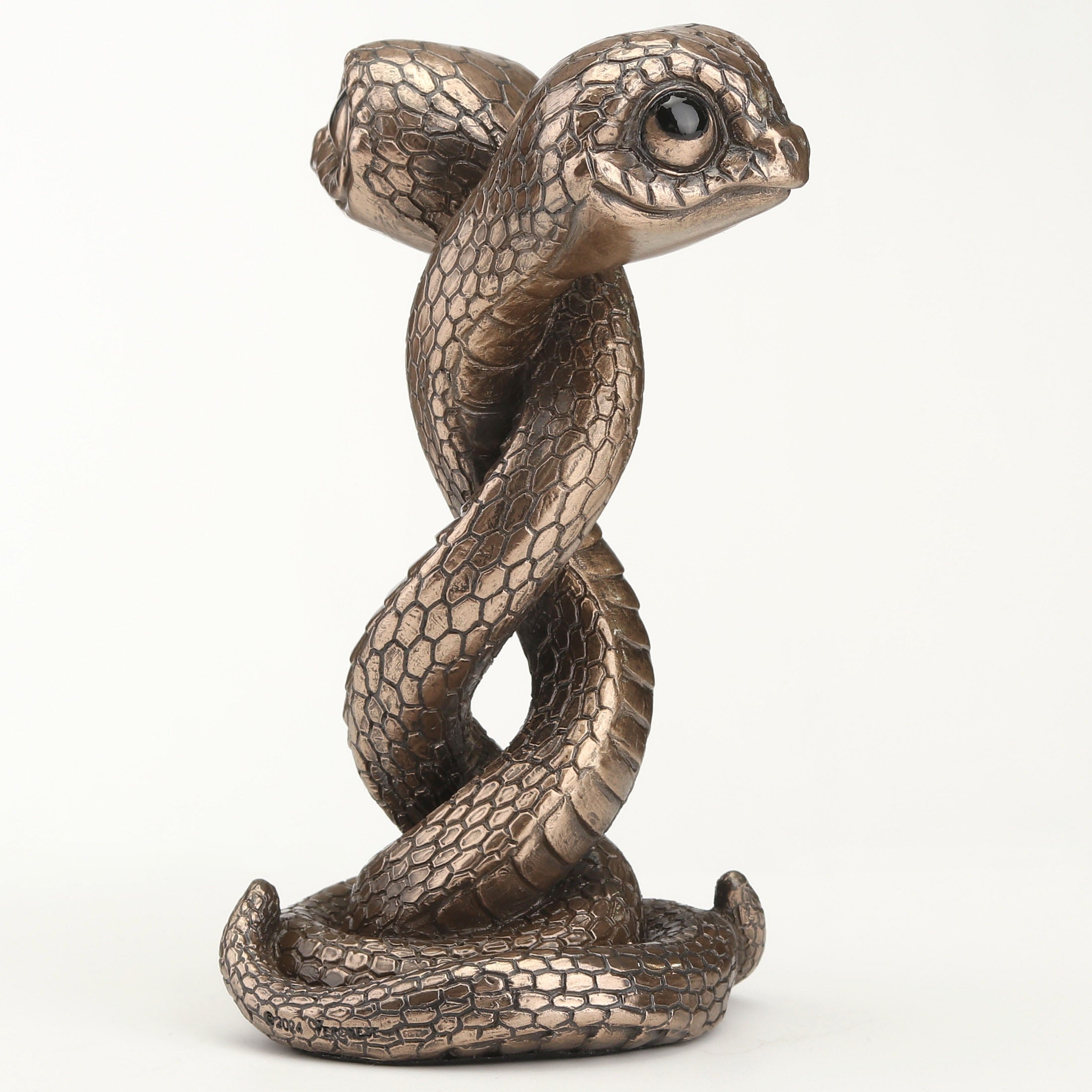 Twin Snake Spiral