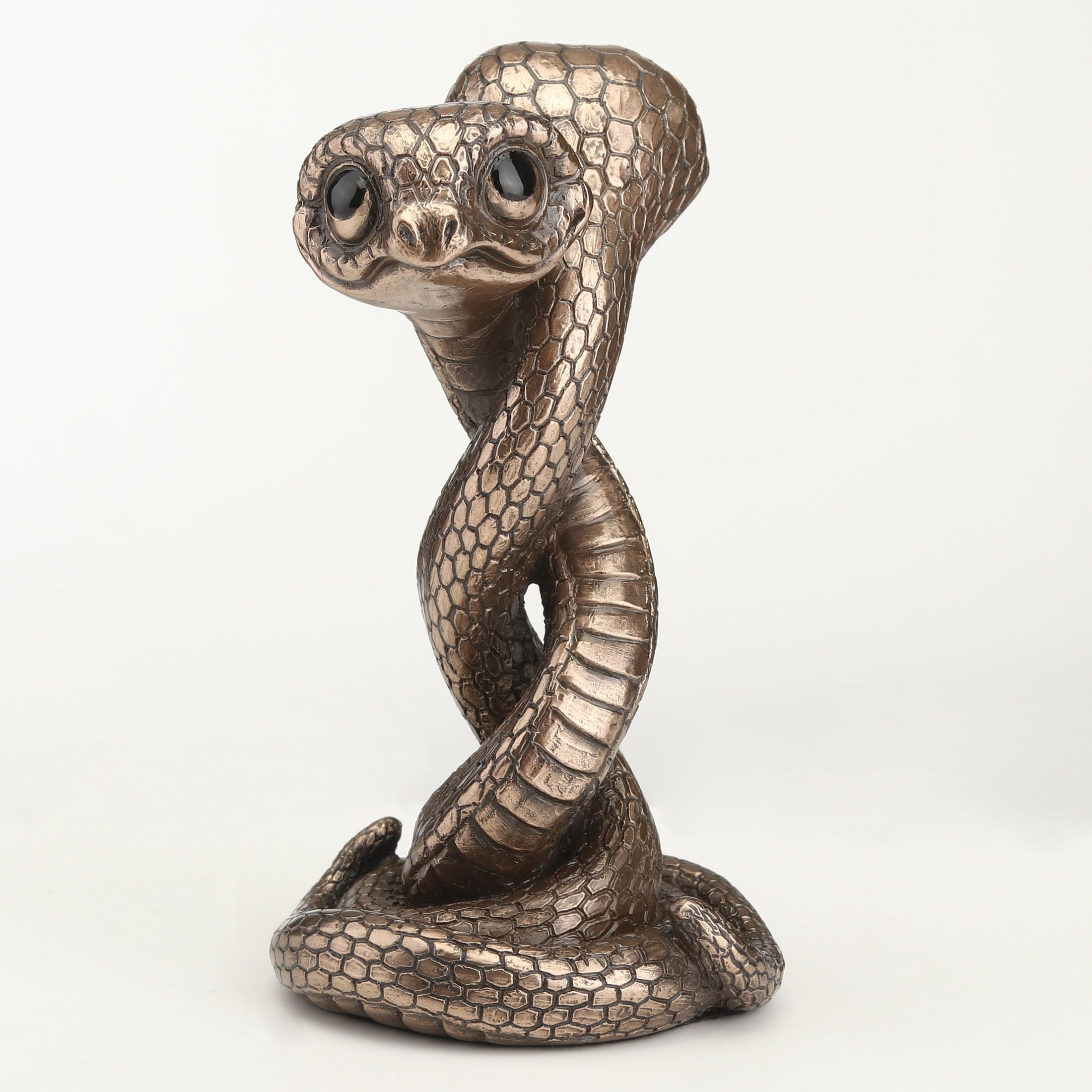 Twin Snake Spiral