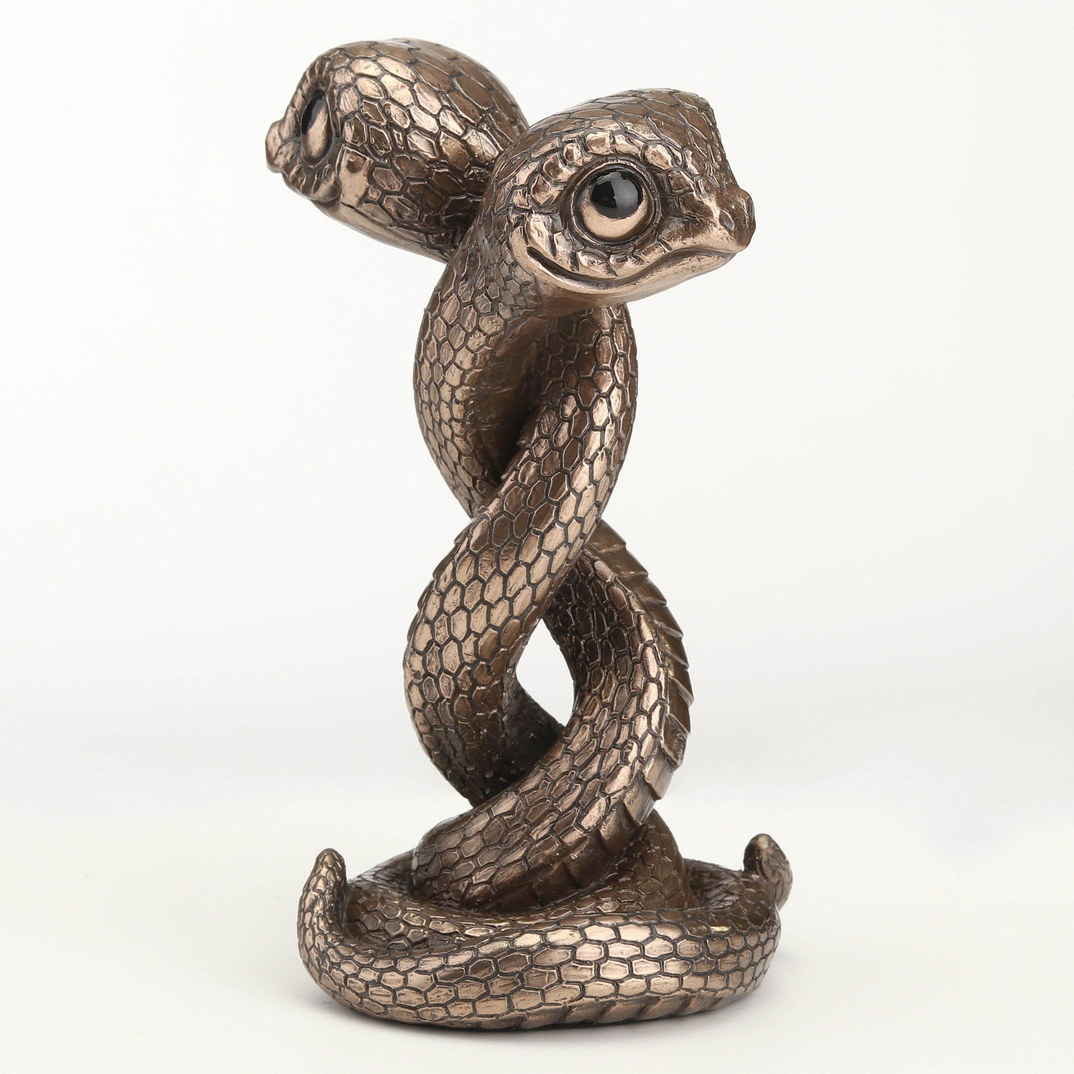 Twin Snake Spiral