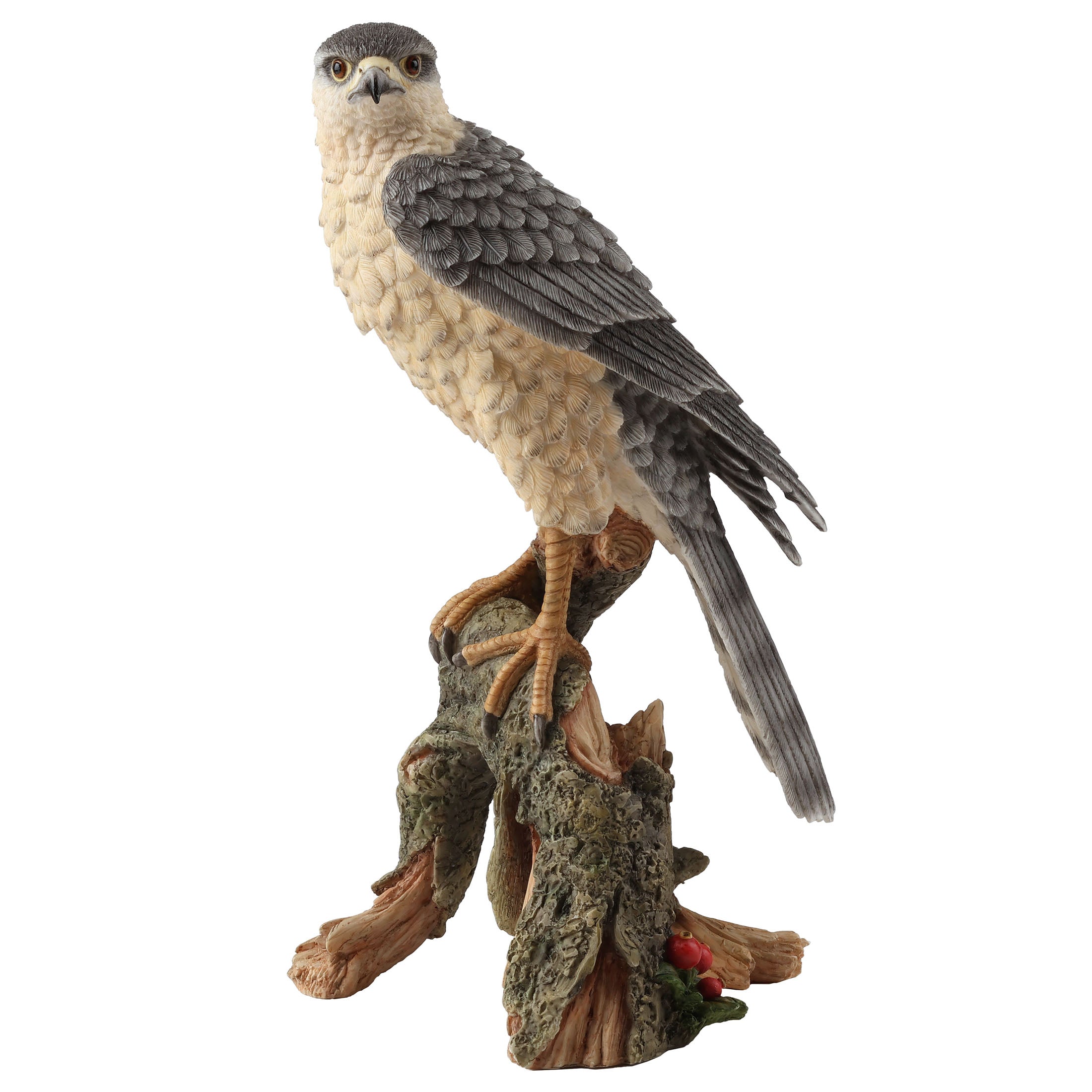 Sparrow Hawk