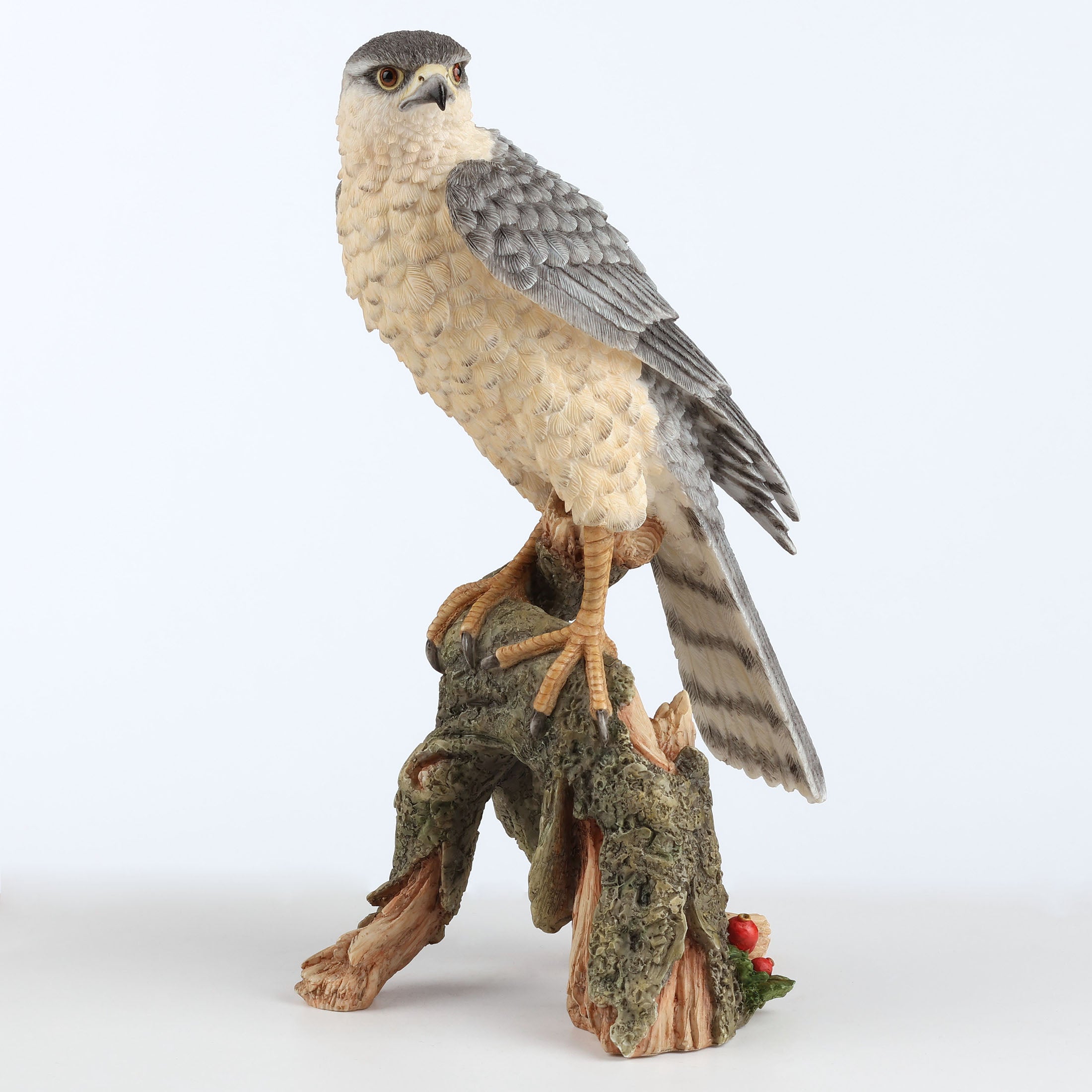 Sparrow Hawk