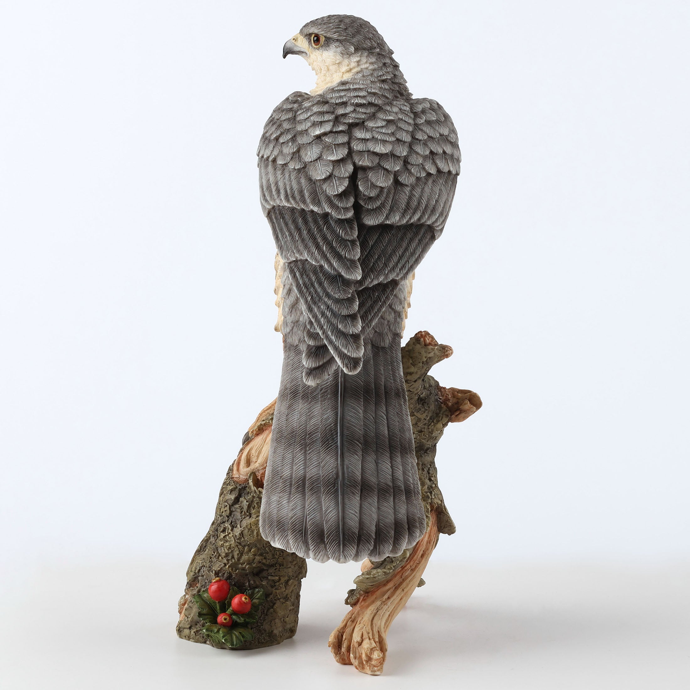 Sparrow Hawk