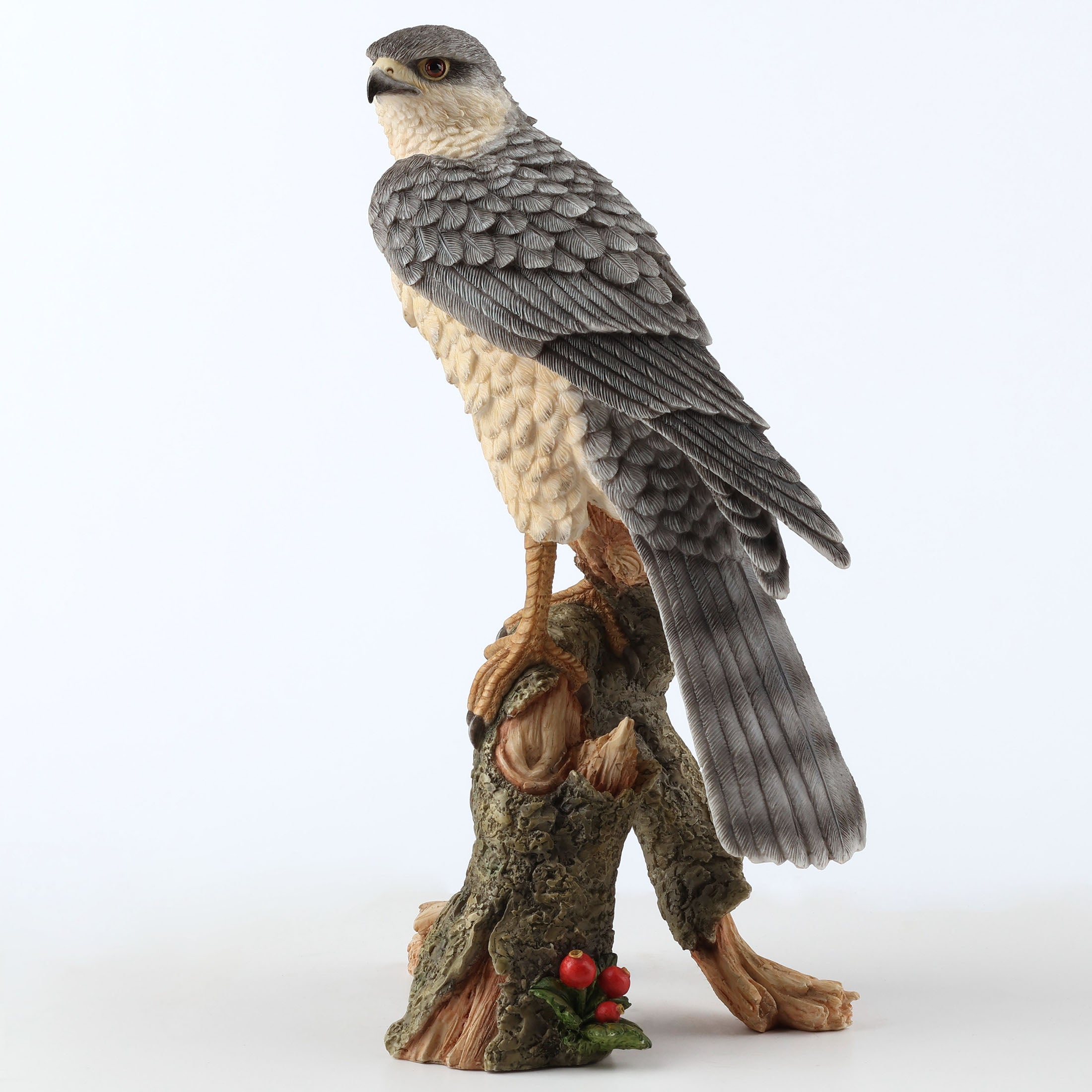 Sparrow Hawk