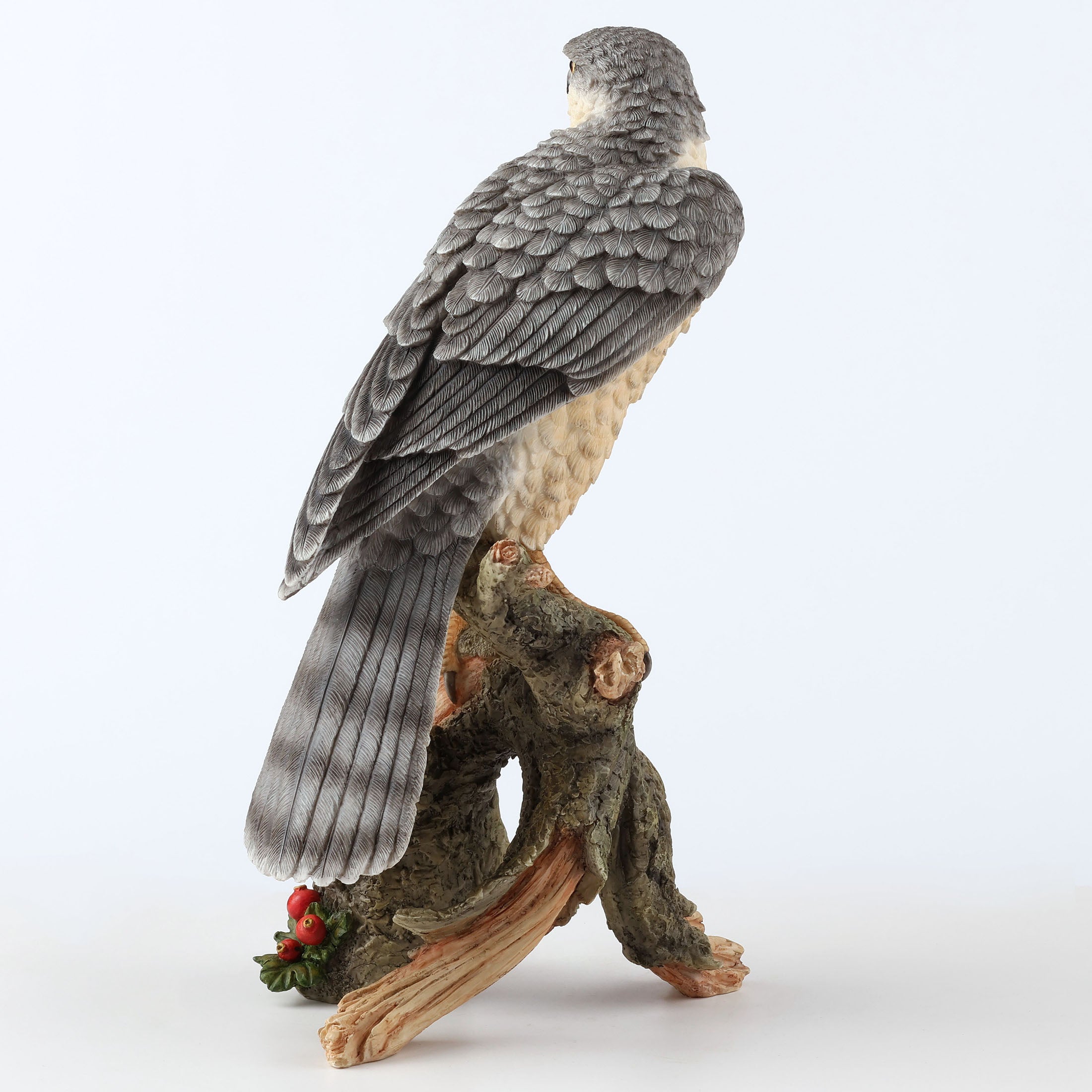 Sparrow Hawk