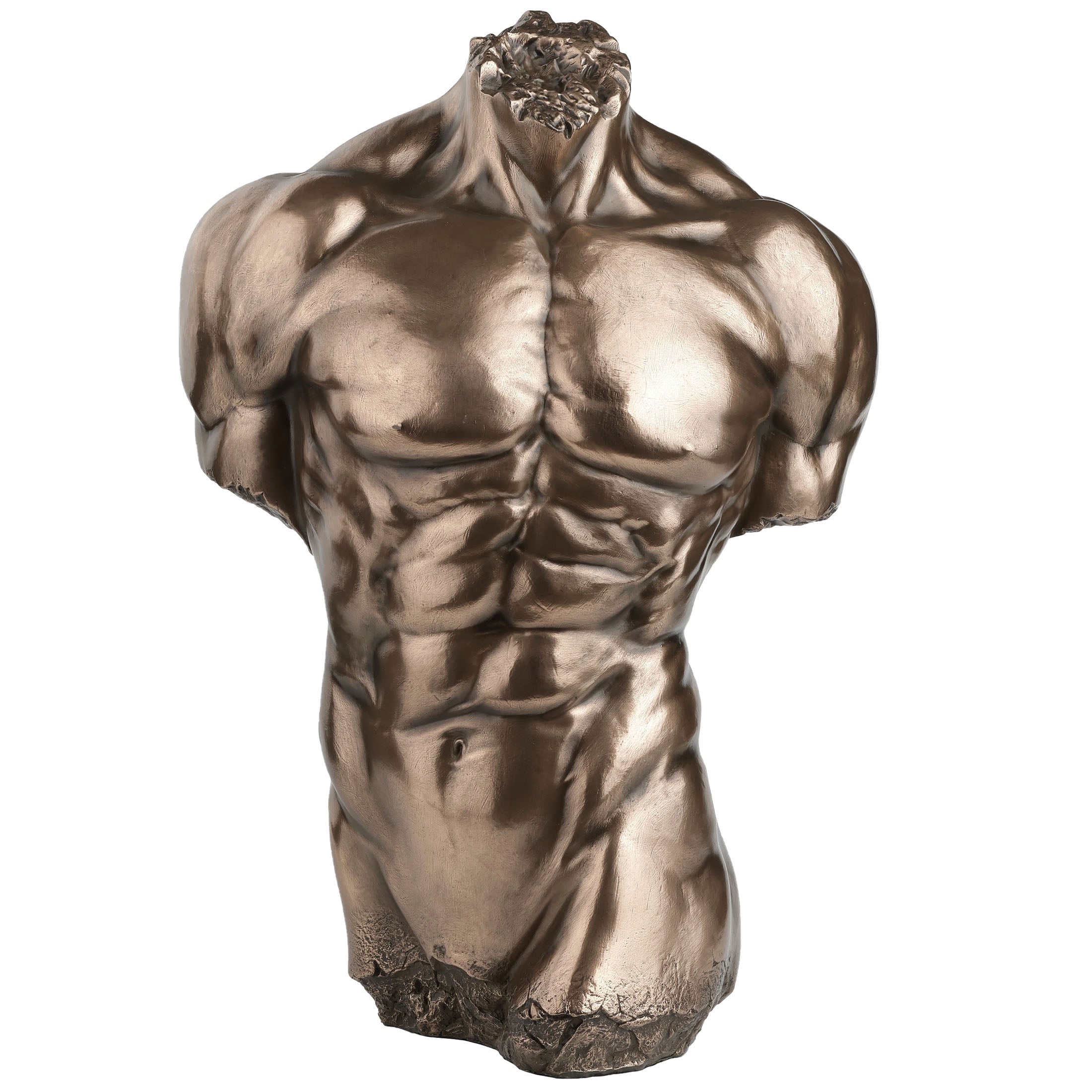 Male Torso Physique
