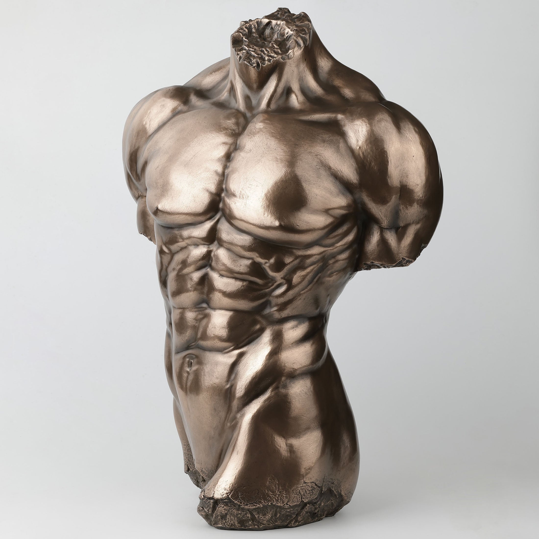 Male Torso Physique