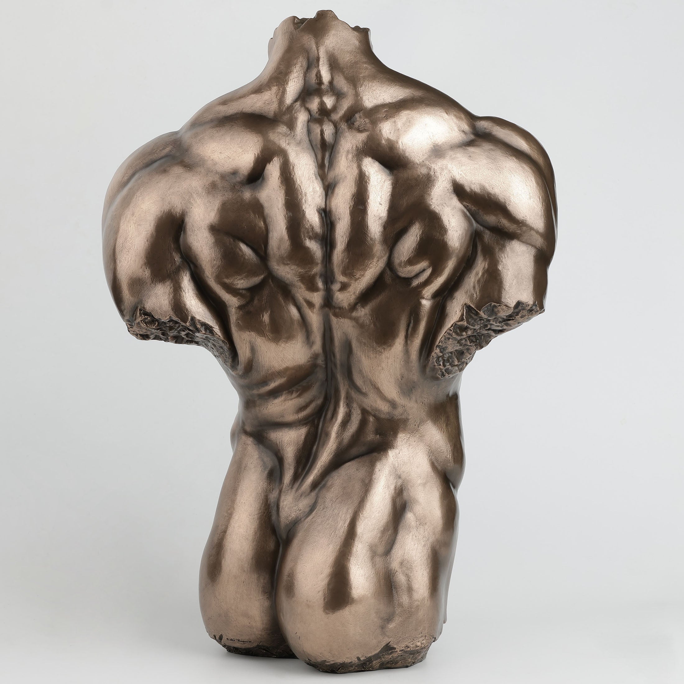 Male Torso Physique