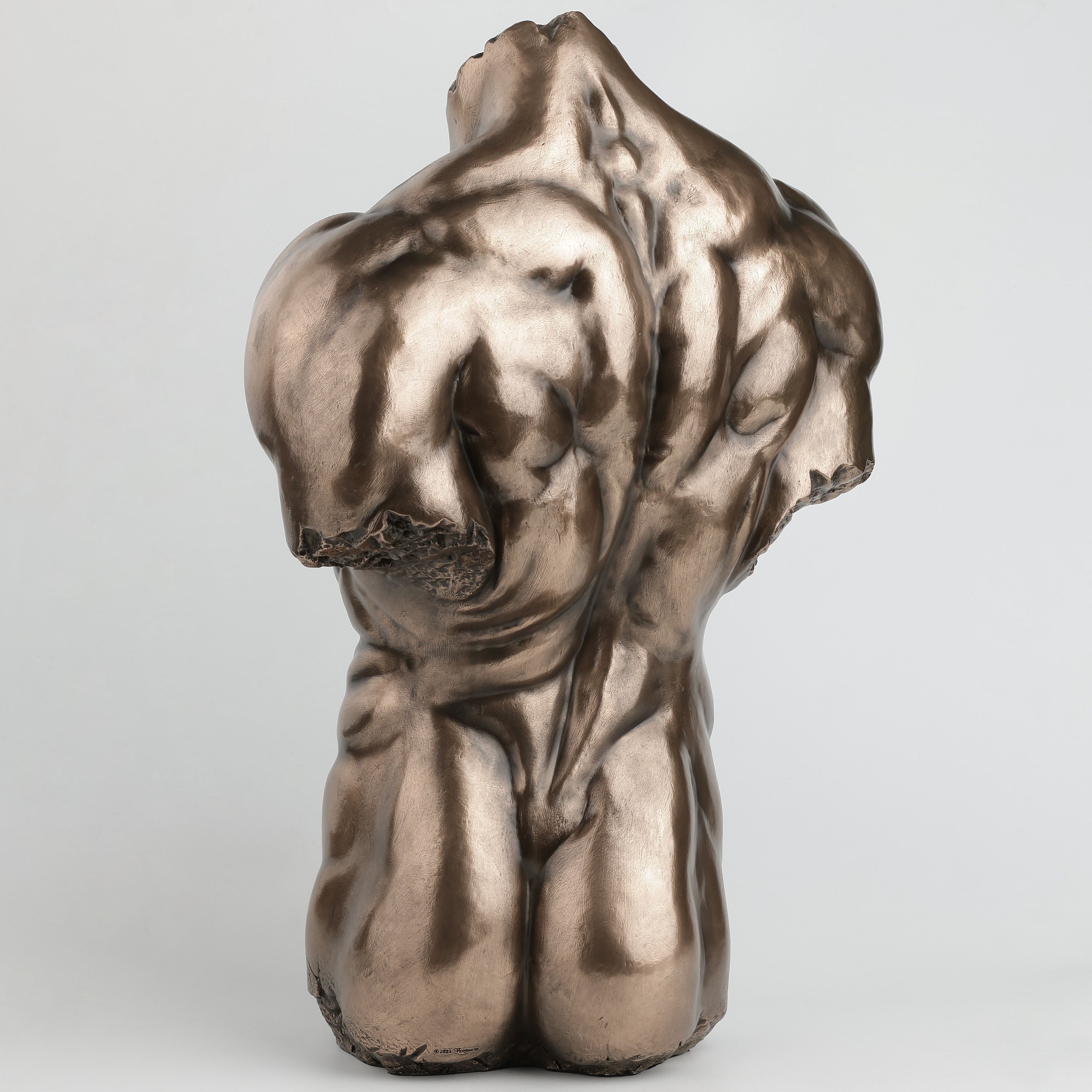 Male Torso Physique