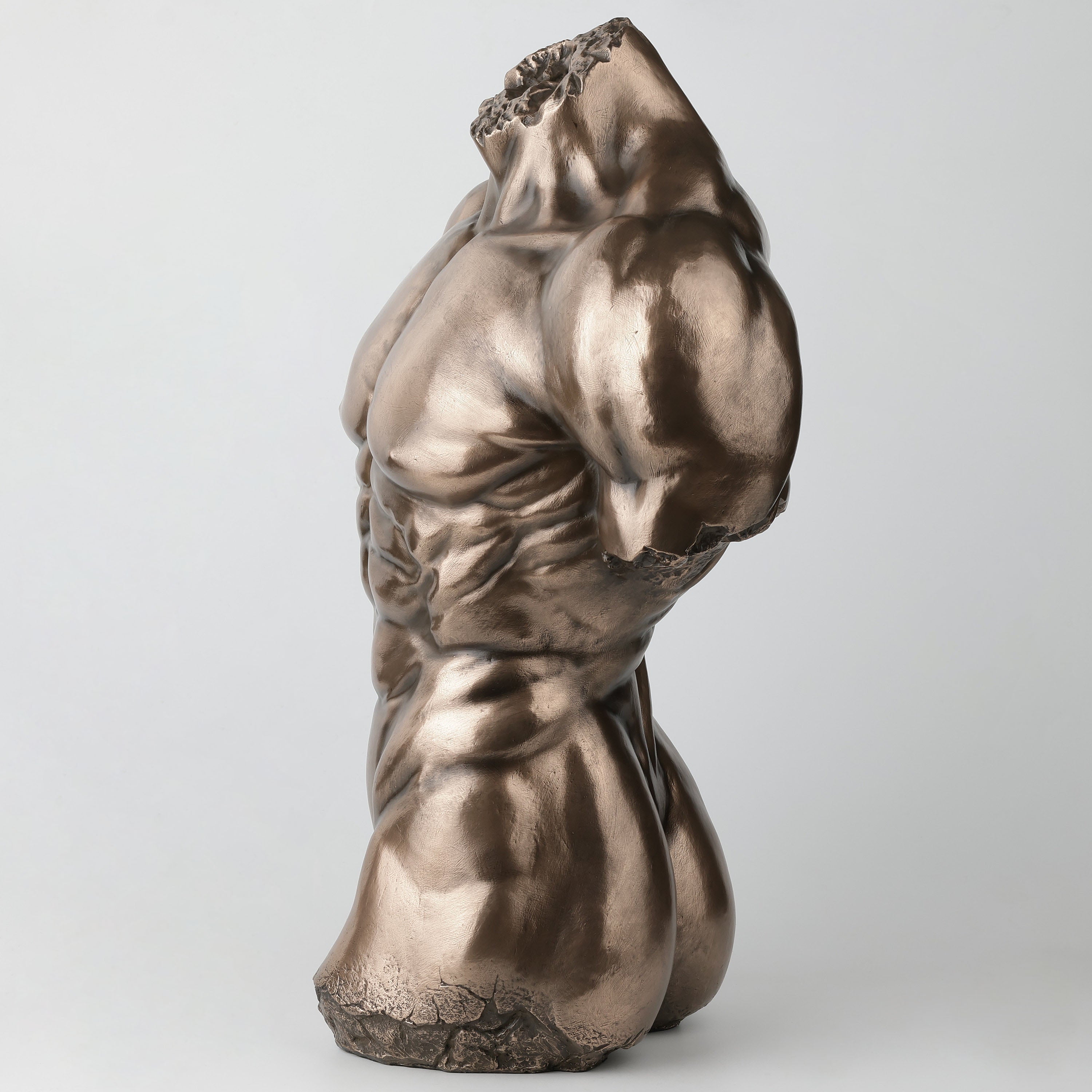 Male Torso Physique