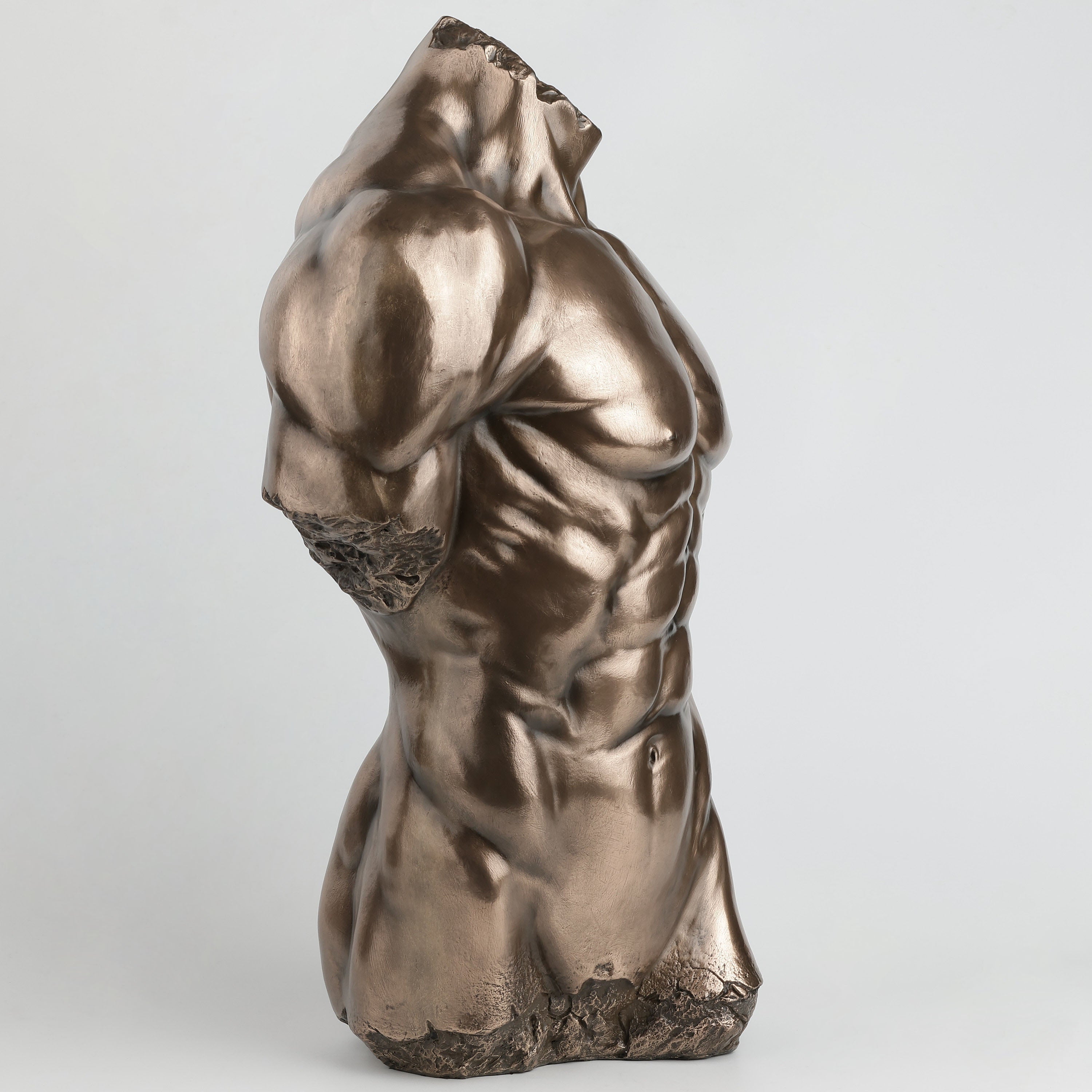 Male Torso Physique