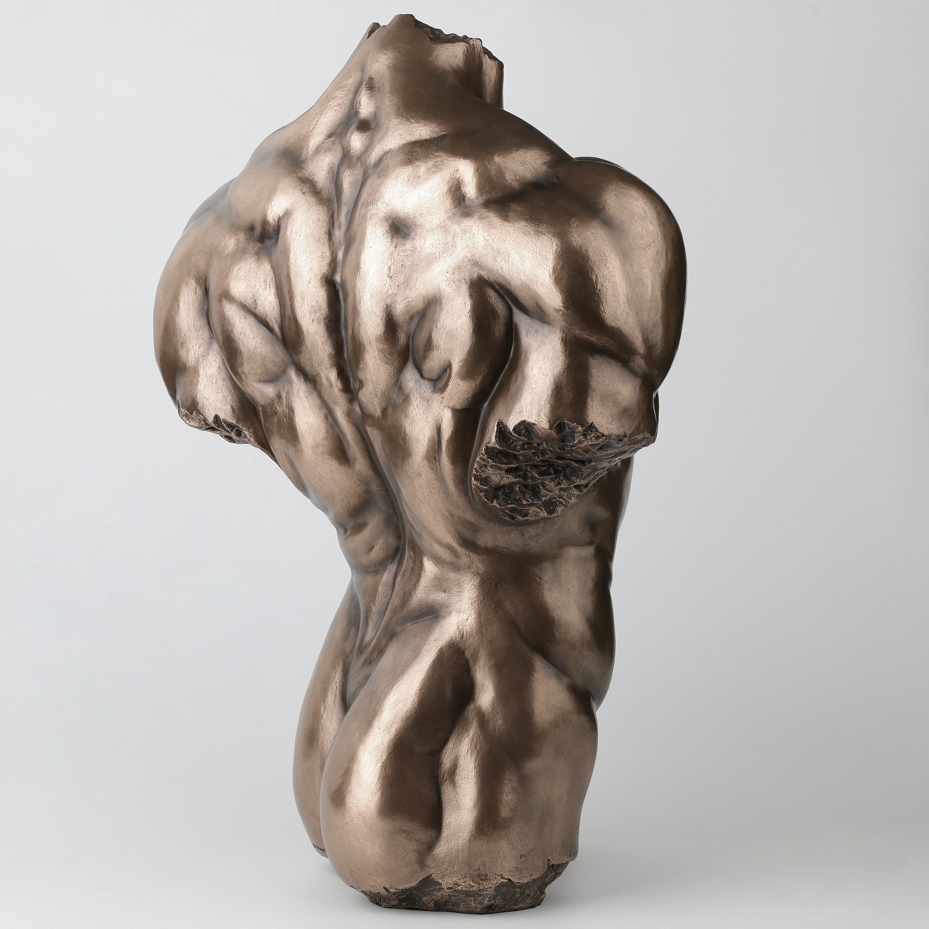 Male Torso Physique