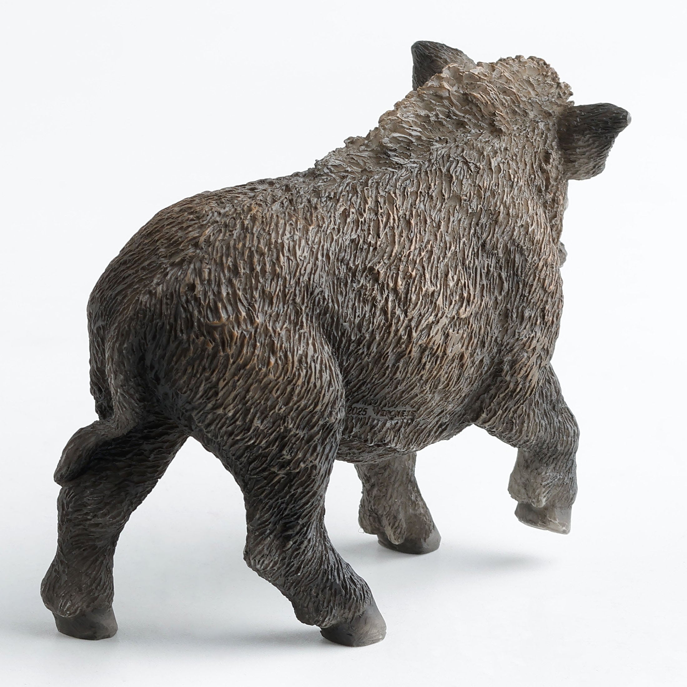Wild Boar