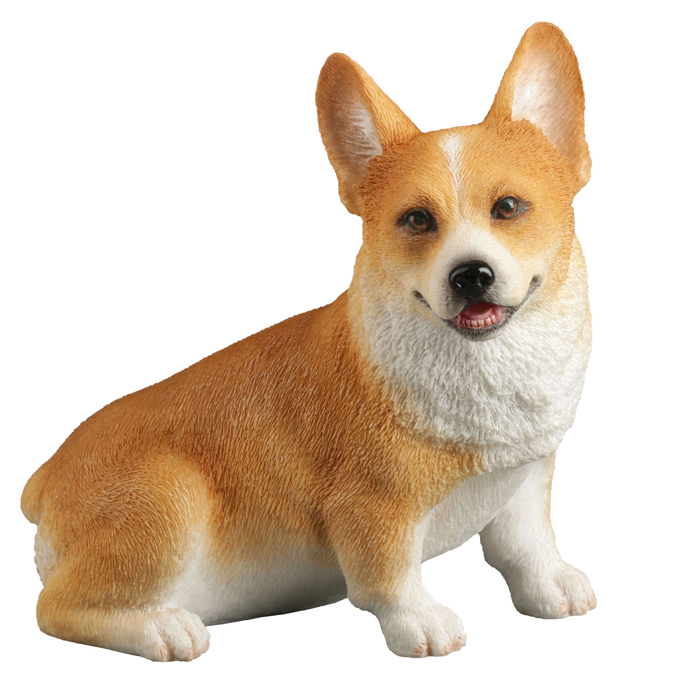 Corgi Sitting