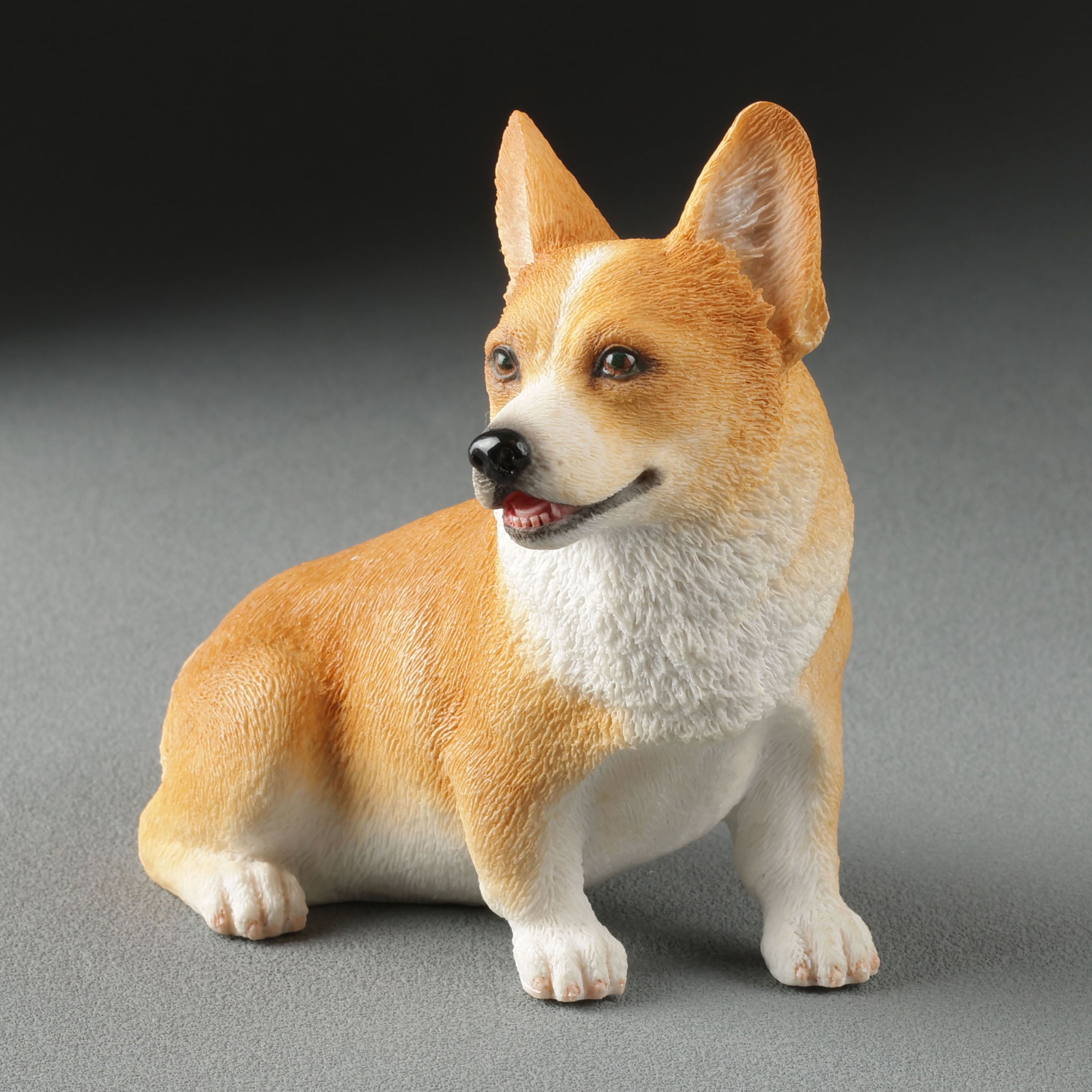 Corgi Sitting