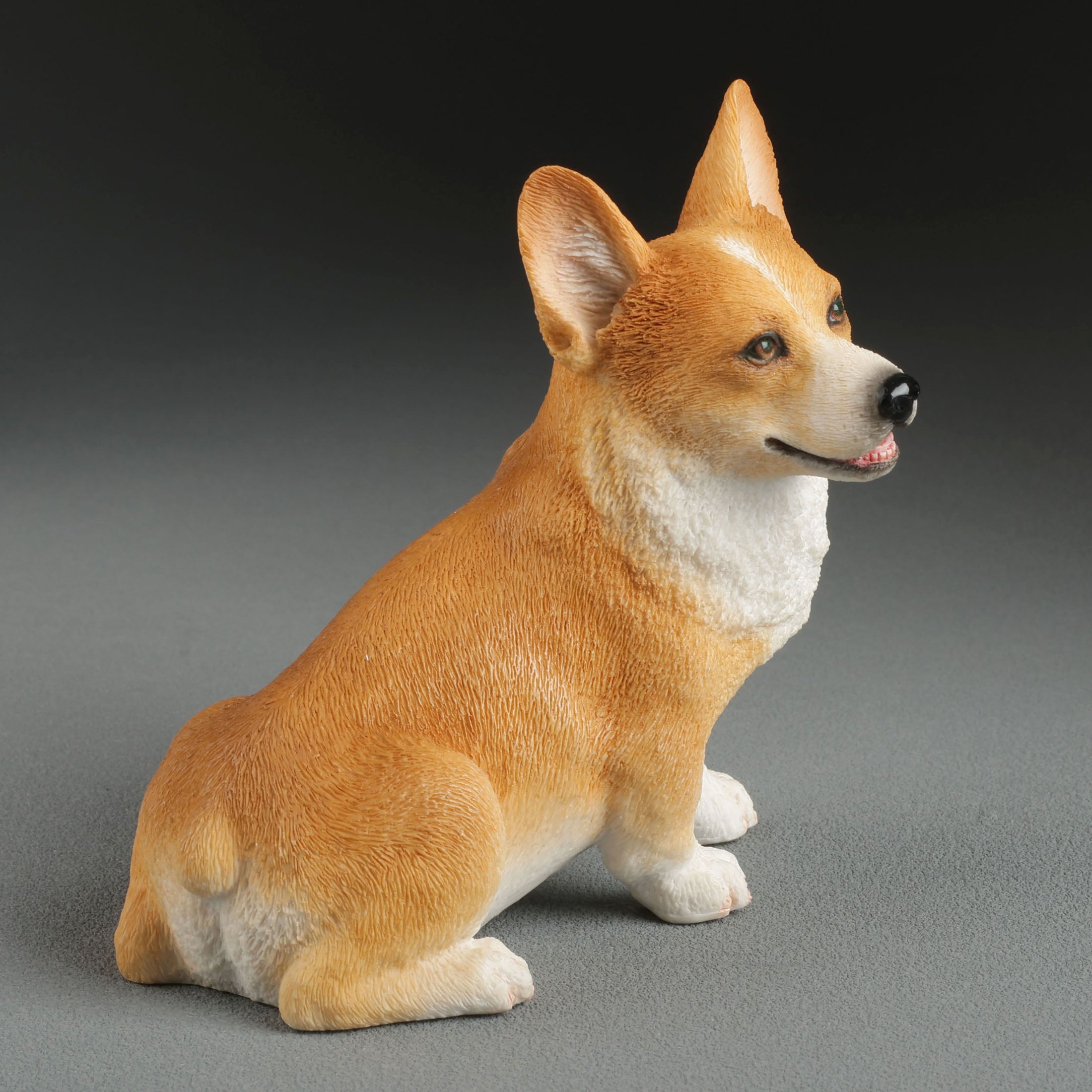 Corgi Sitting