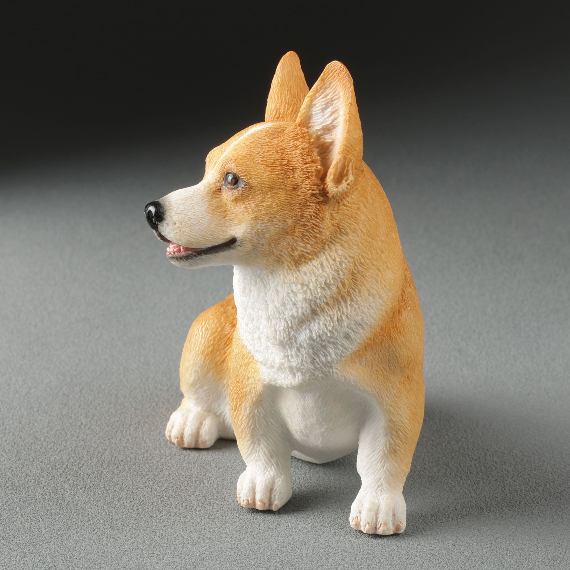 Corgi Sitting