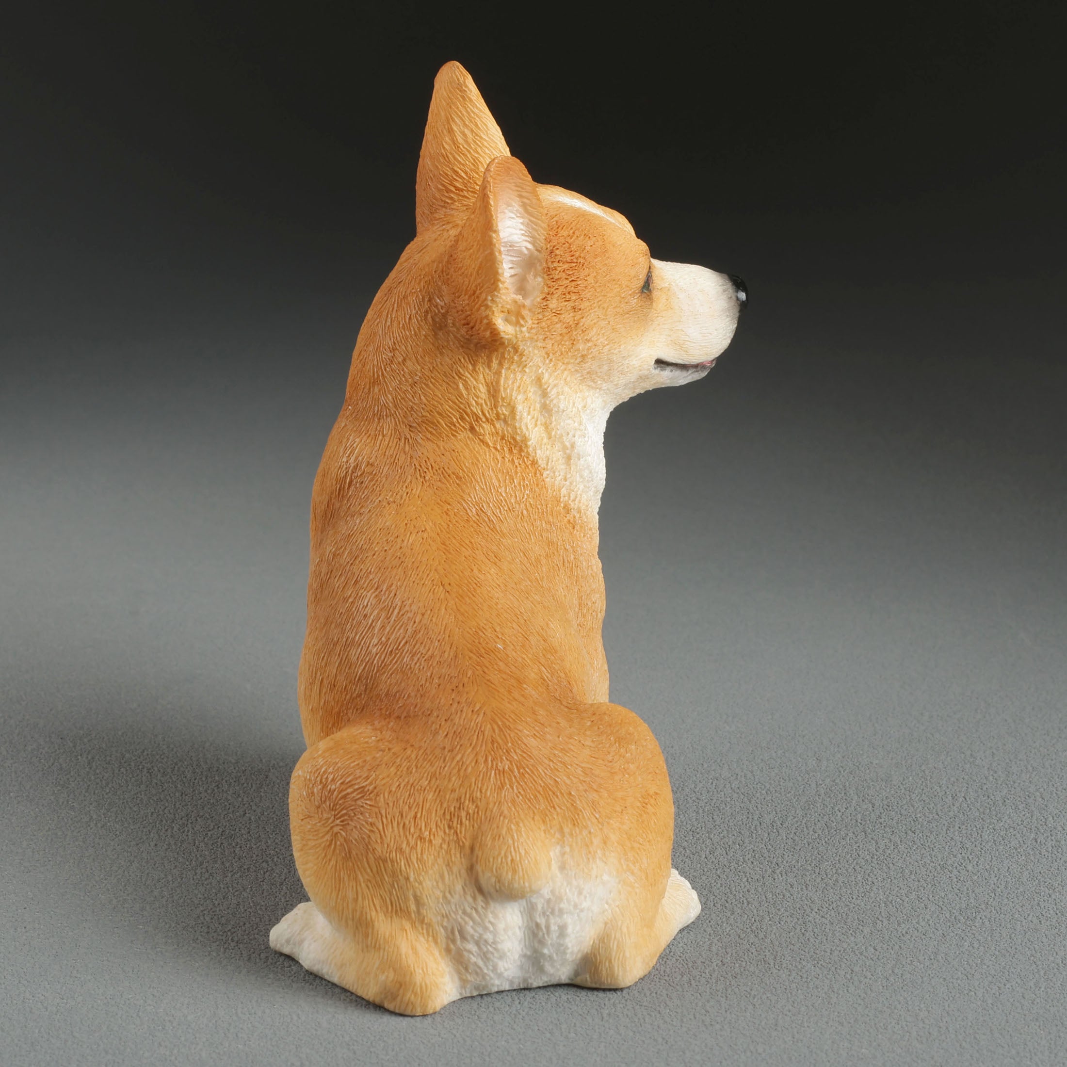 Corgi Sitting