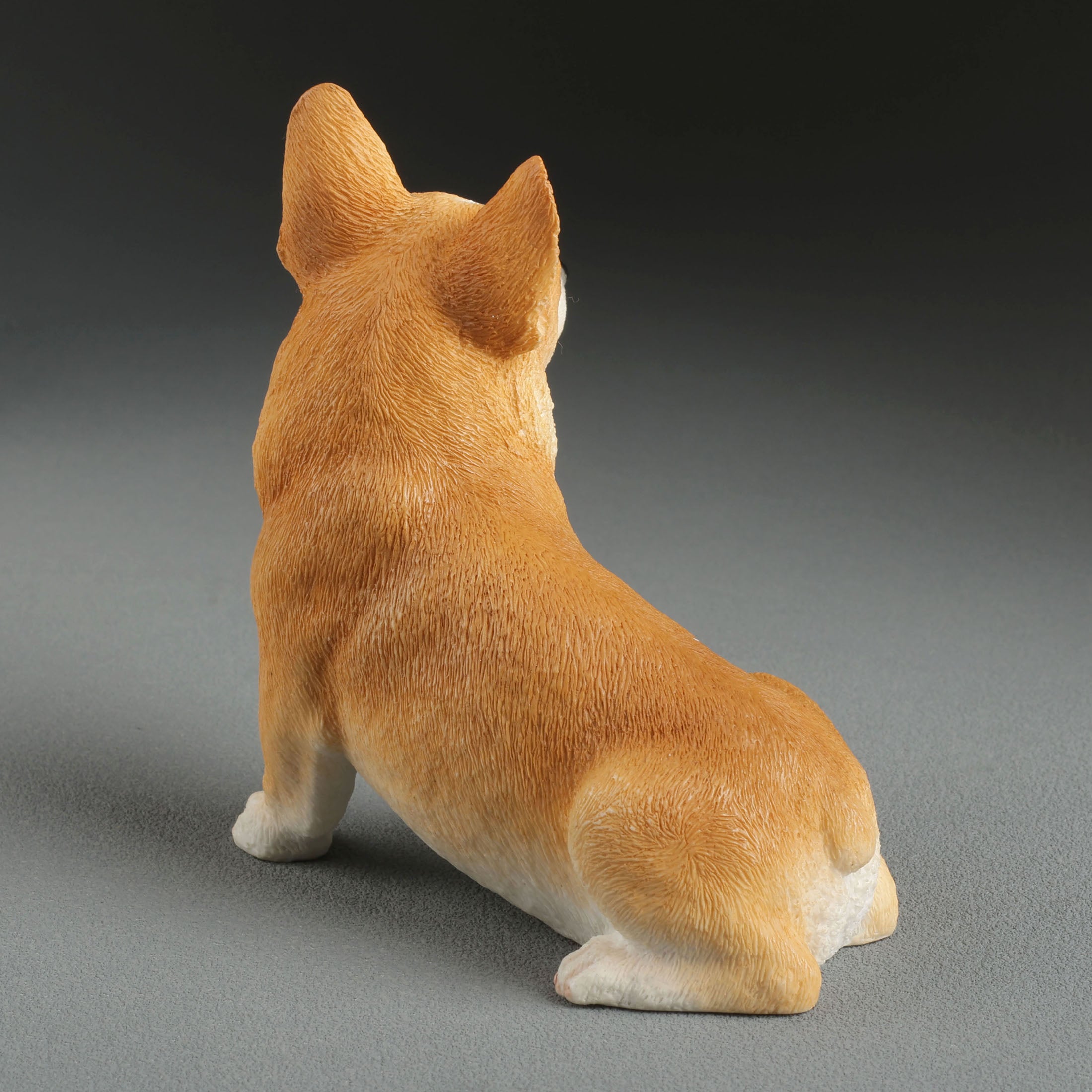 Corgi Sitting