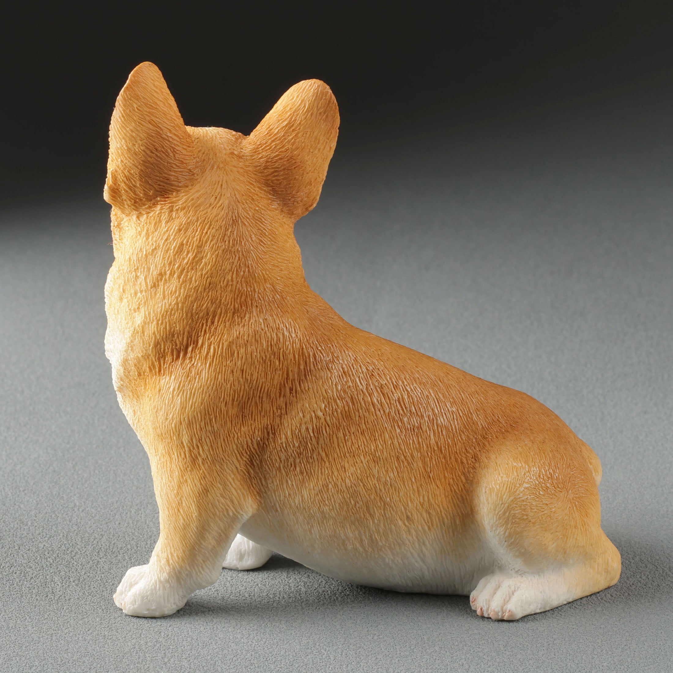 Corgi Sitting