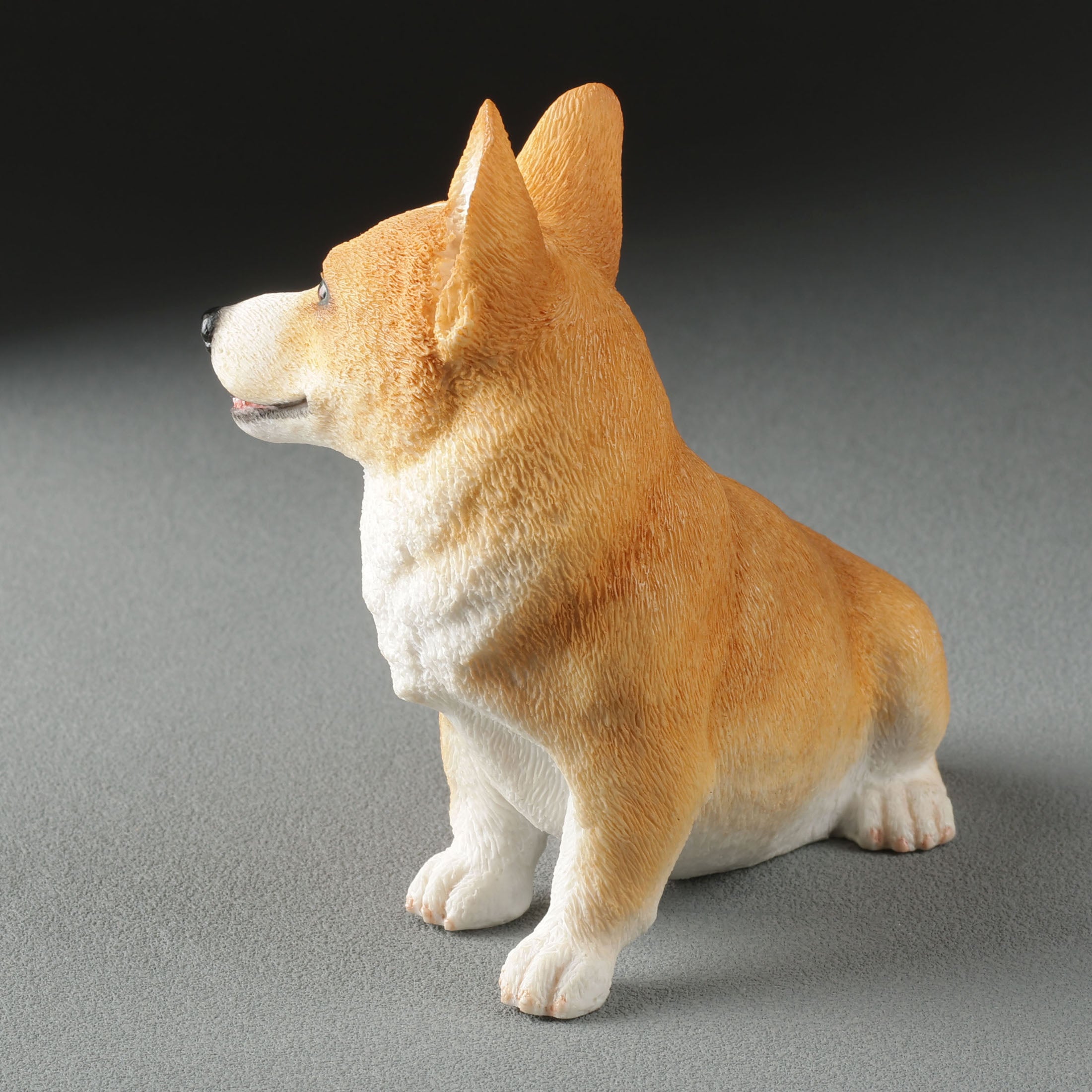 Corgi Sitting