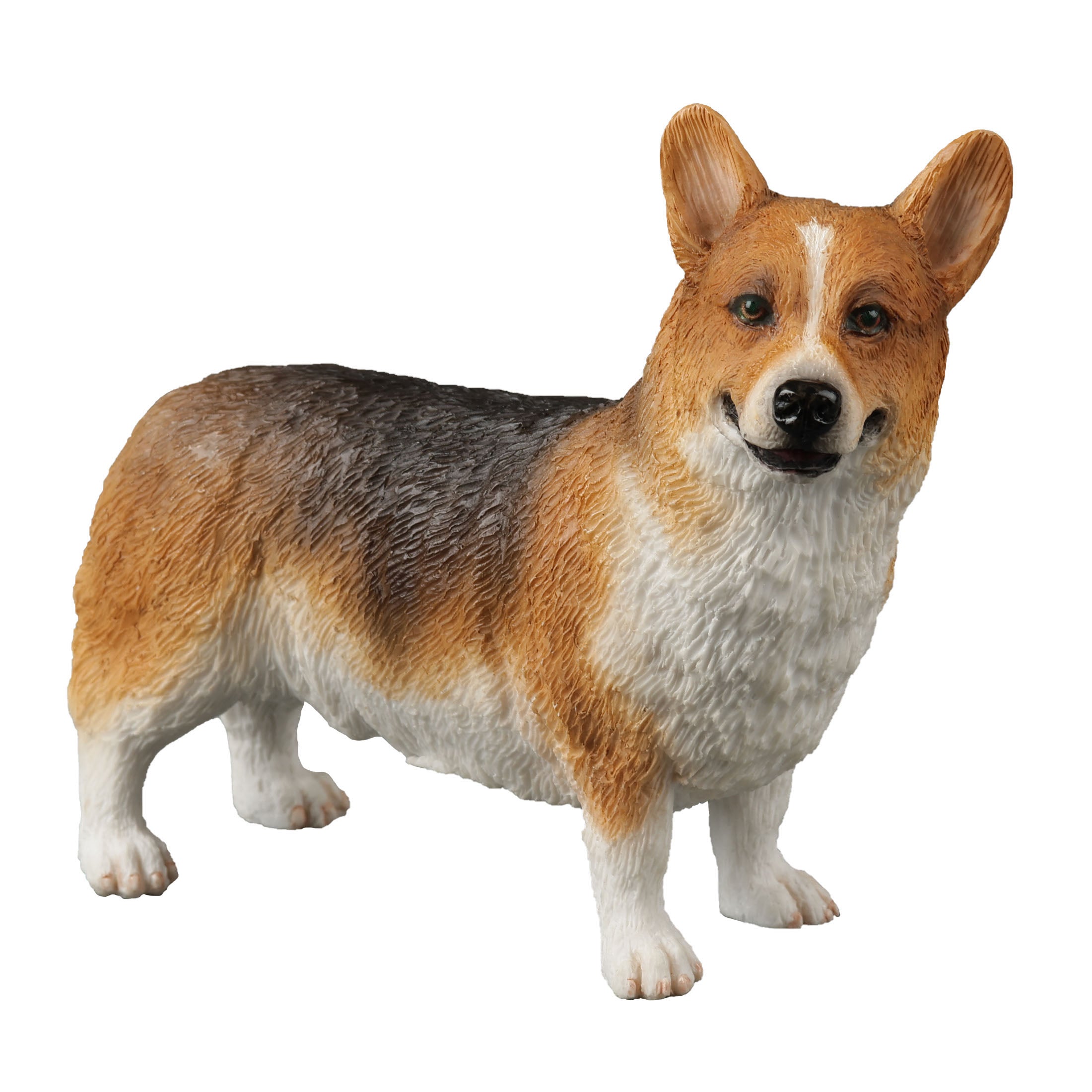 Corgi
