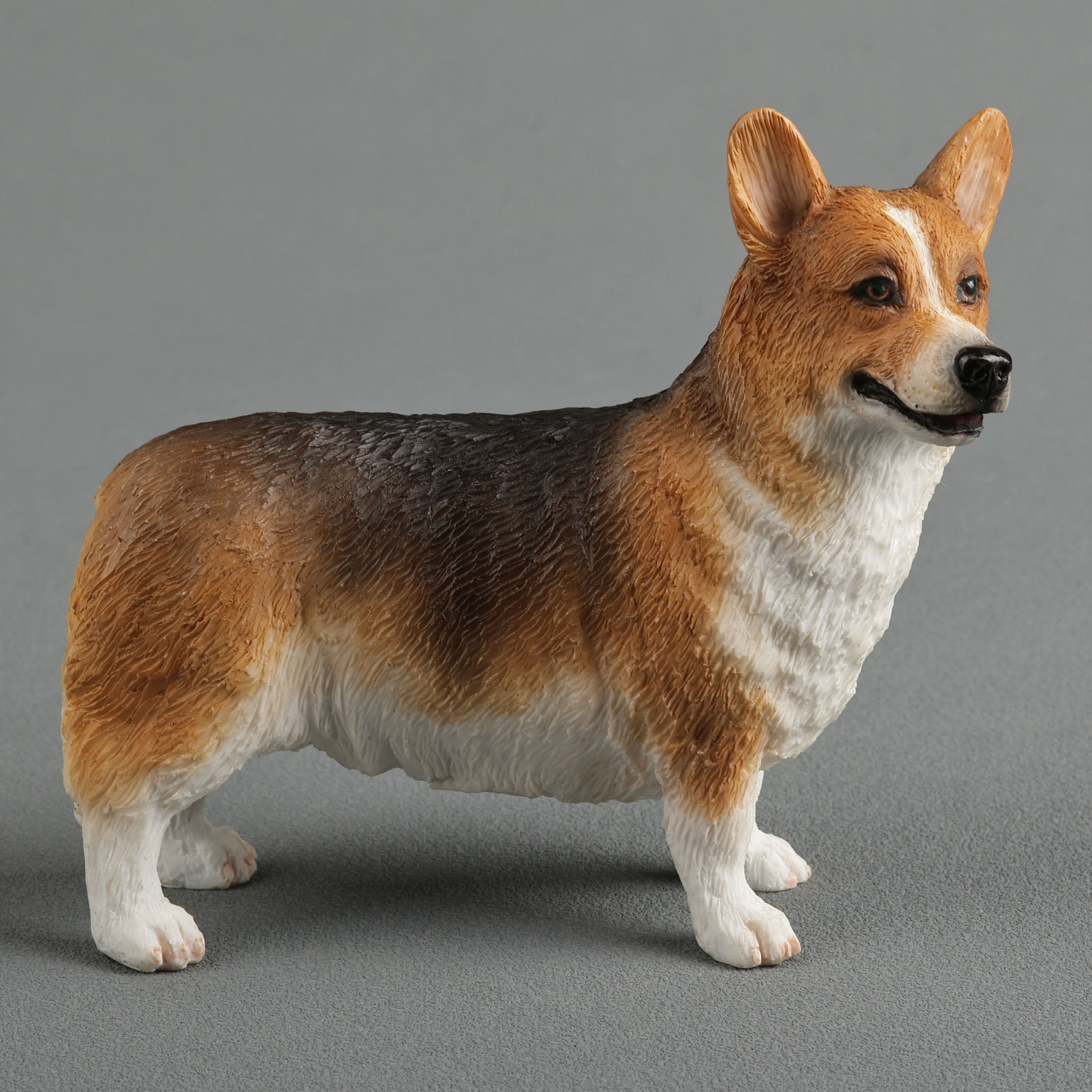 Corgi