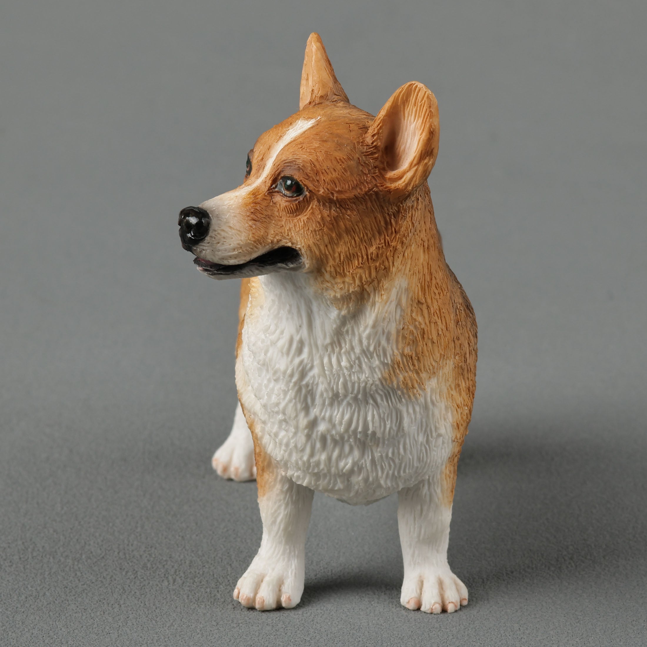 Corgi