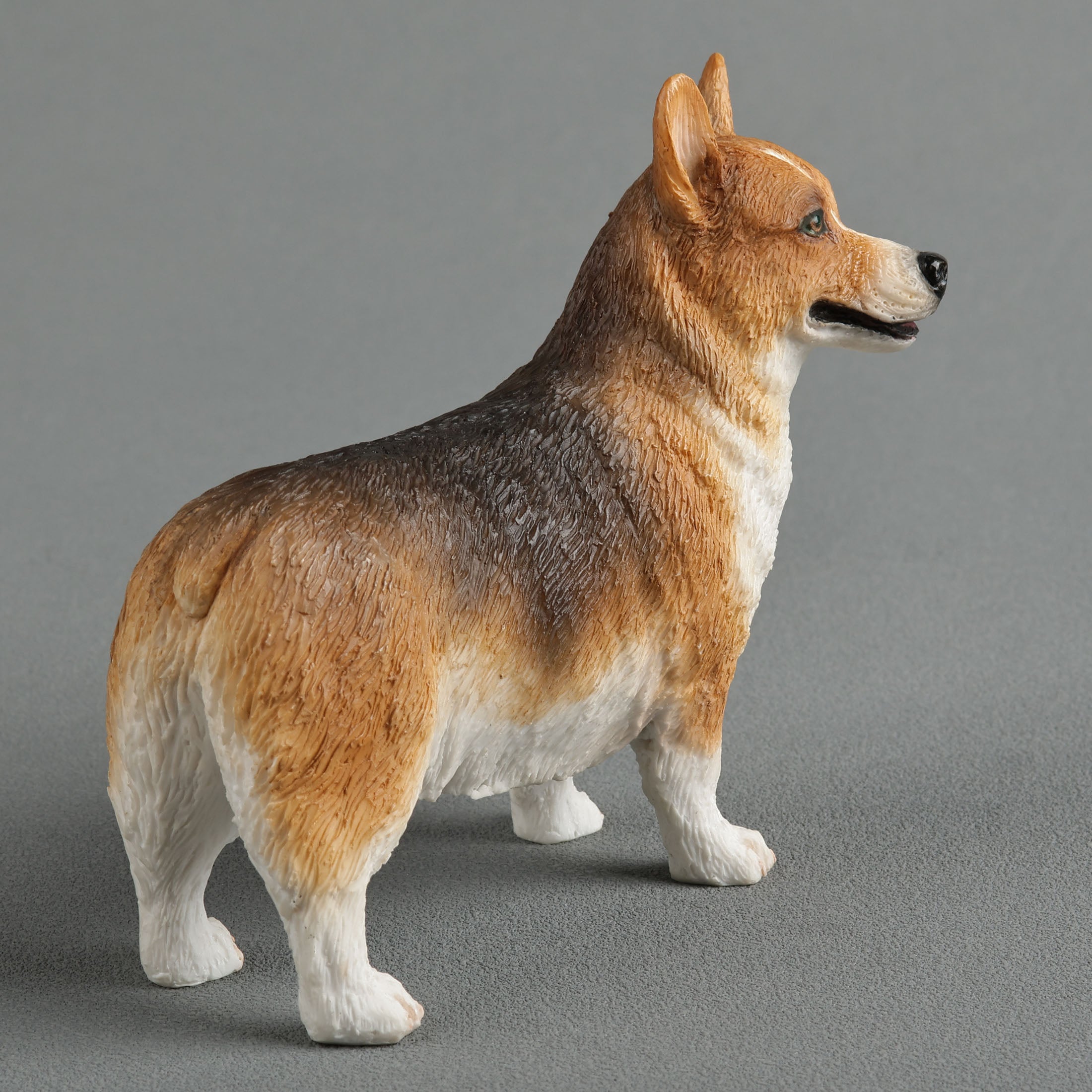 Corgi