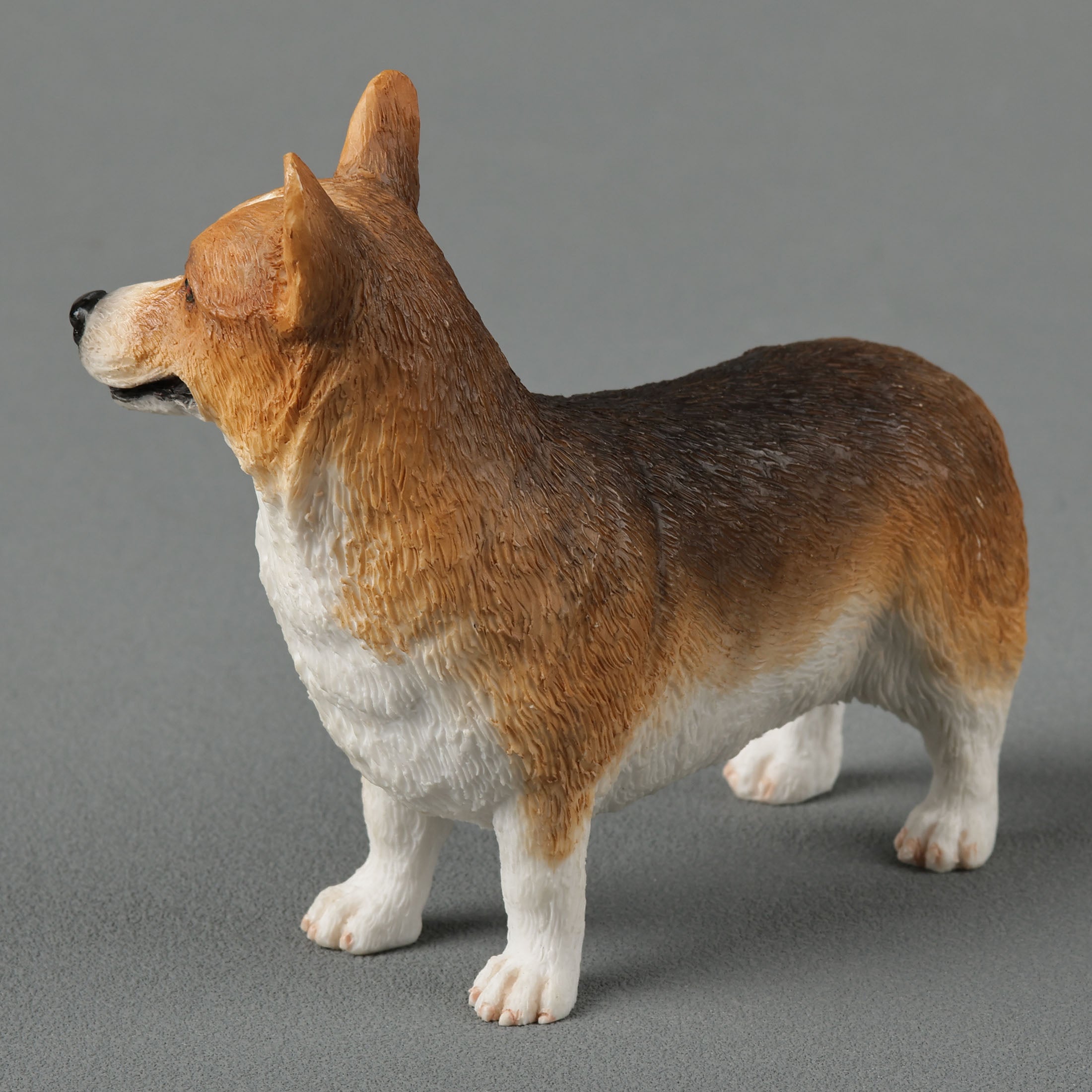 Corgi