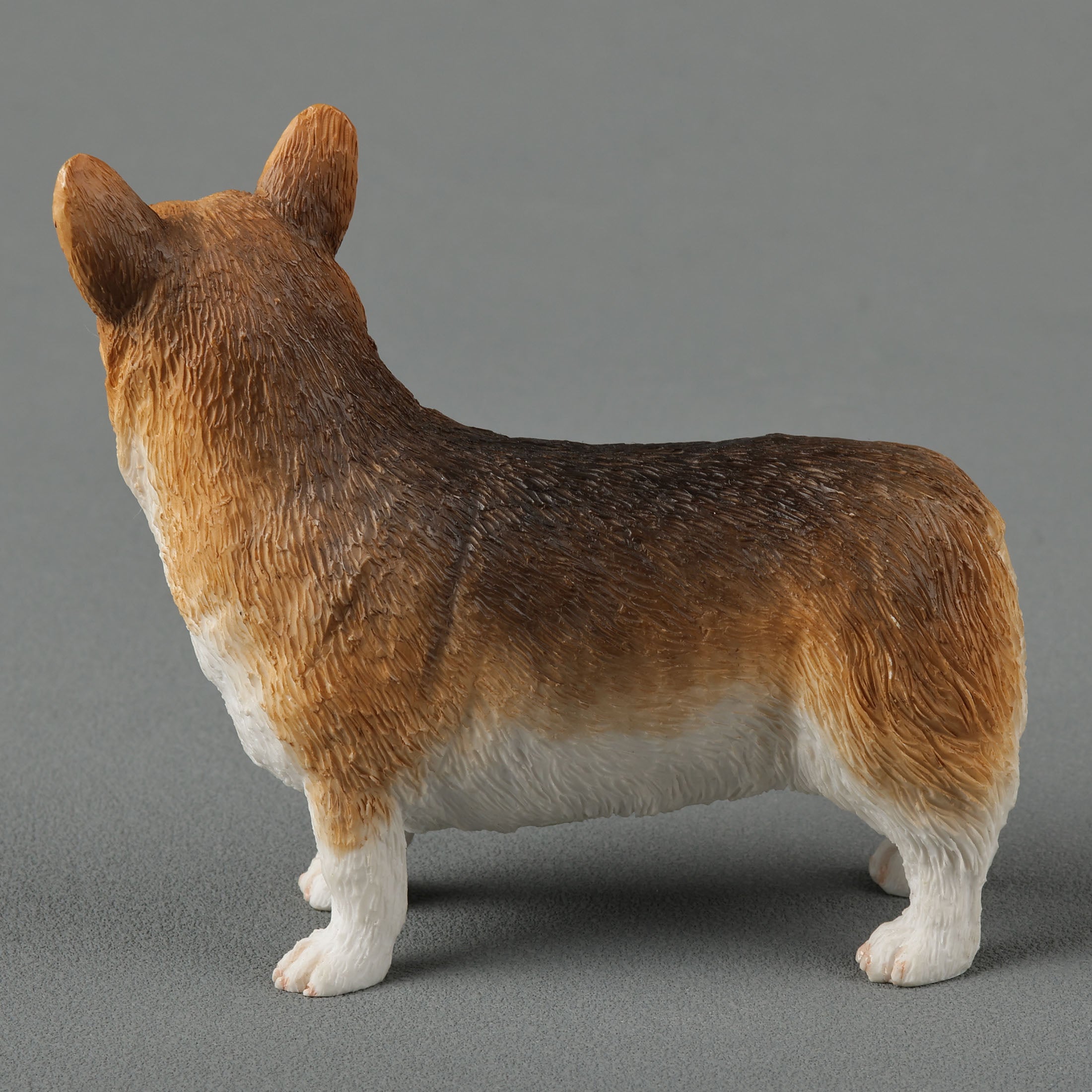 Corgi