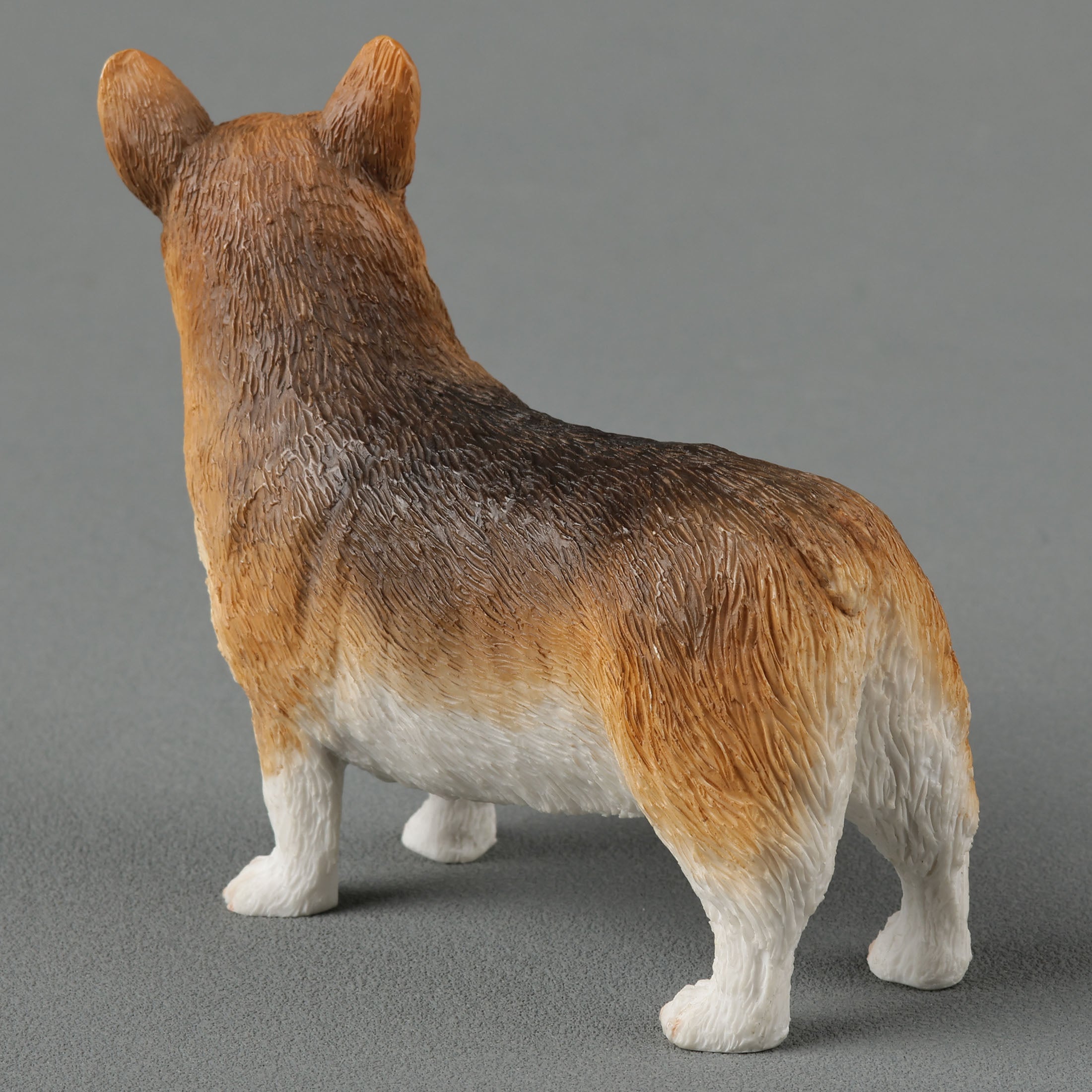 Corgi