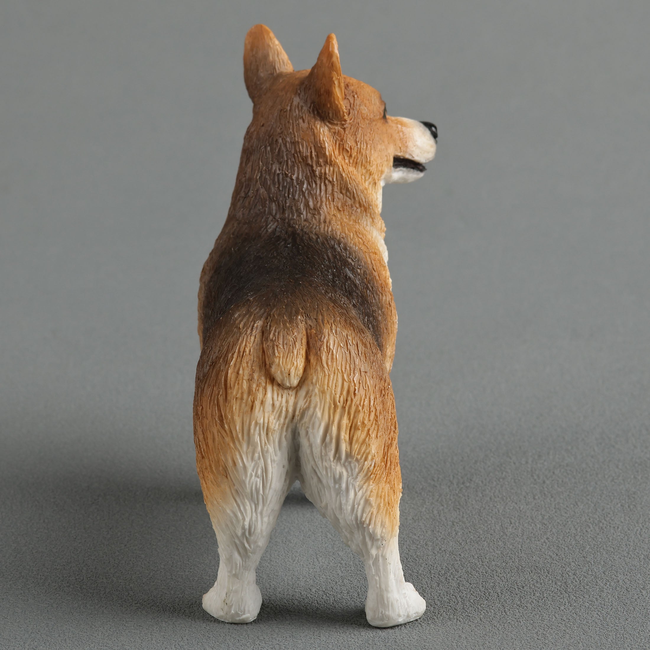 Corgi