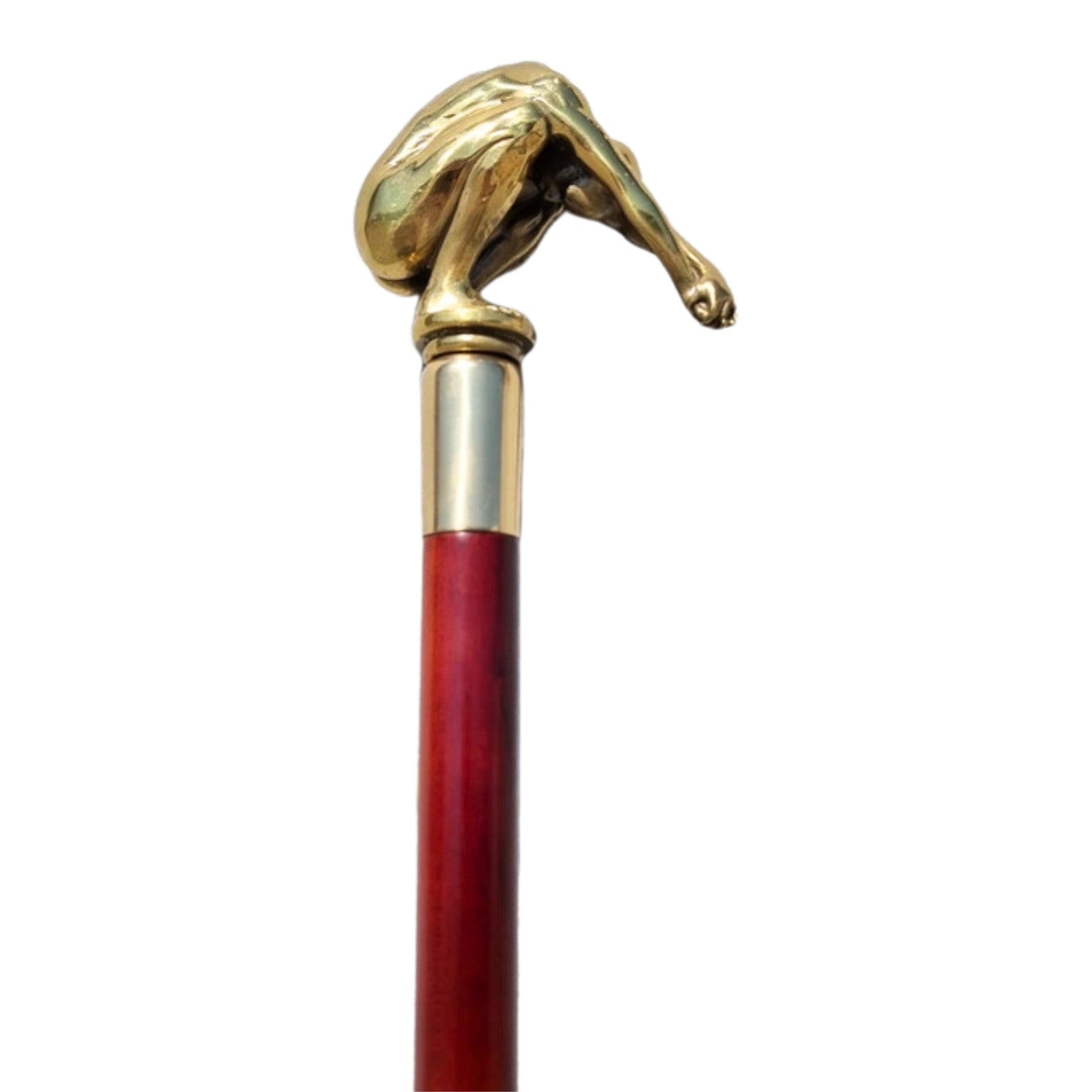 Walking Stick | Curios & Collectibles | Home Decor | Handcrafted