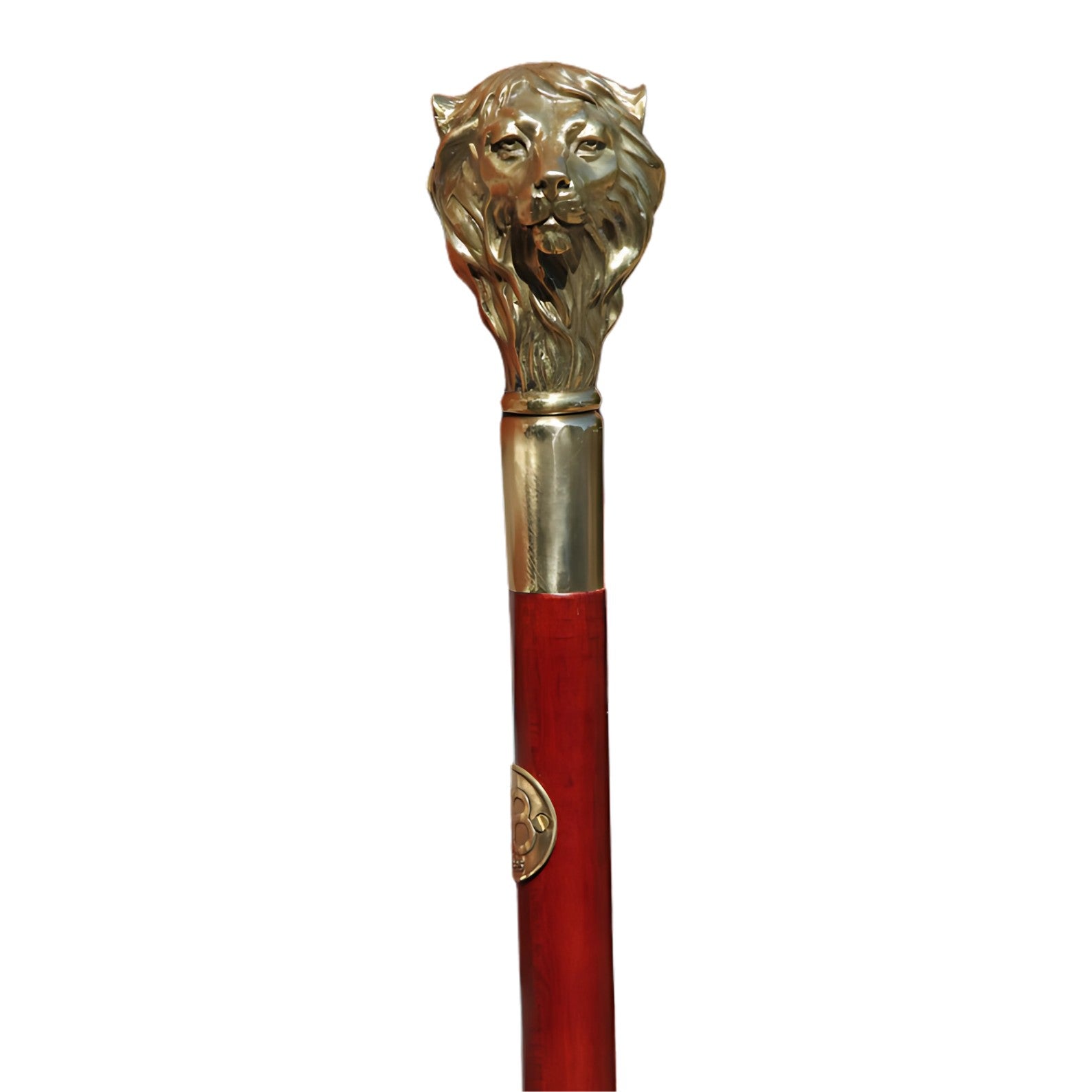 Walking Stick with Handle of a Lion's Head | Animal Sculptures