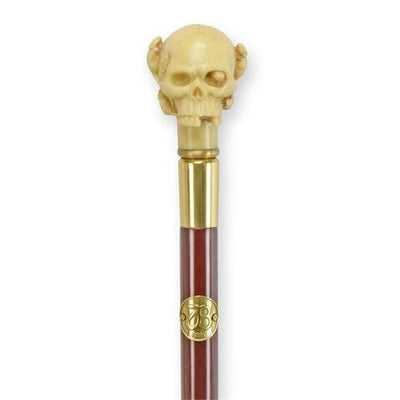 Walking Stick with Resin Handle of a Head | Curios & Collectibles