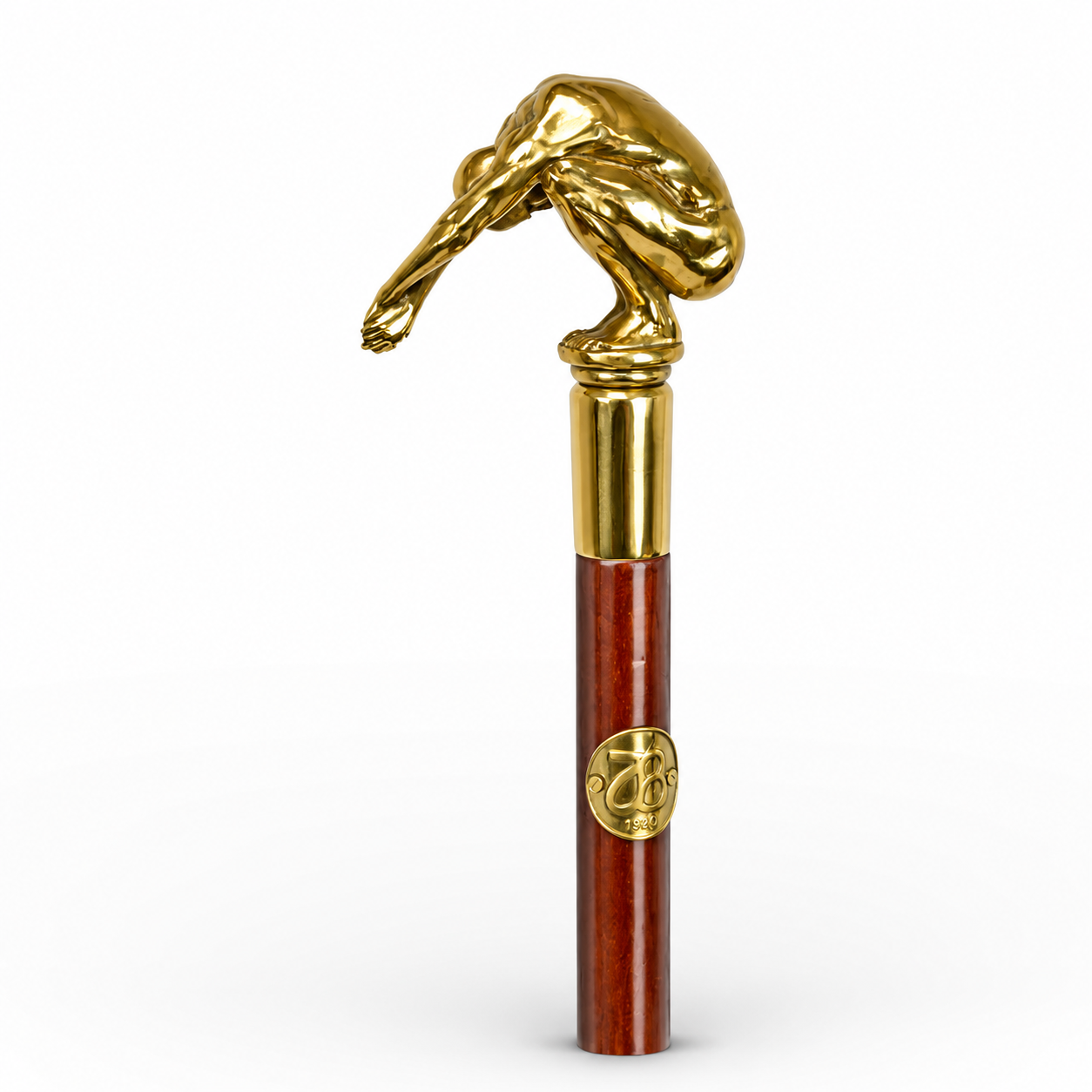 Walking Stick | Curios & Collectibles | Home Decor | Handcrafted