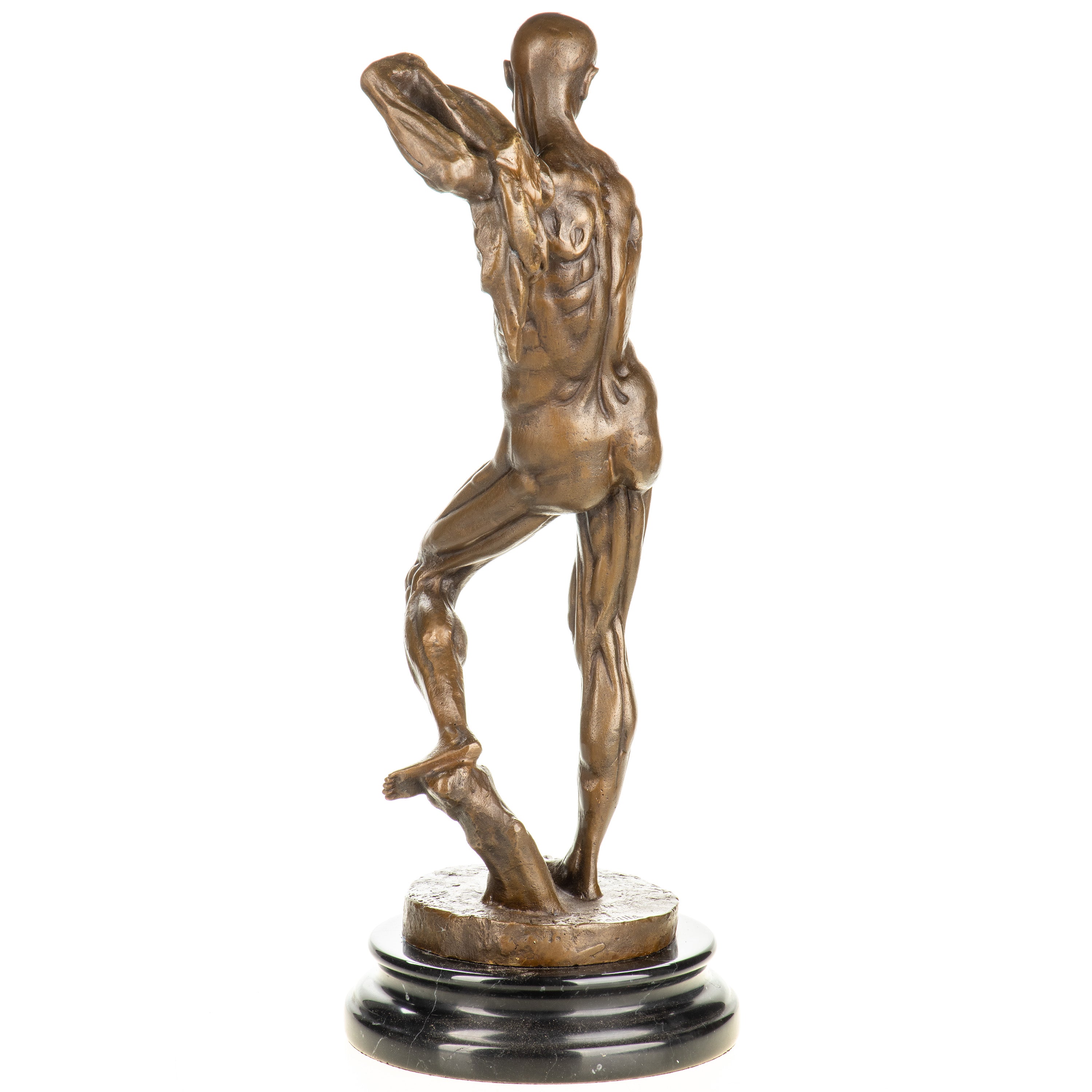 Anatomy of a Man Bronze Sculpture after P. Franqueville