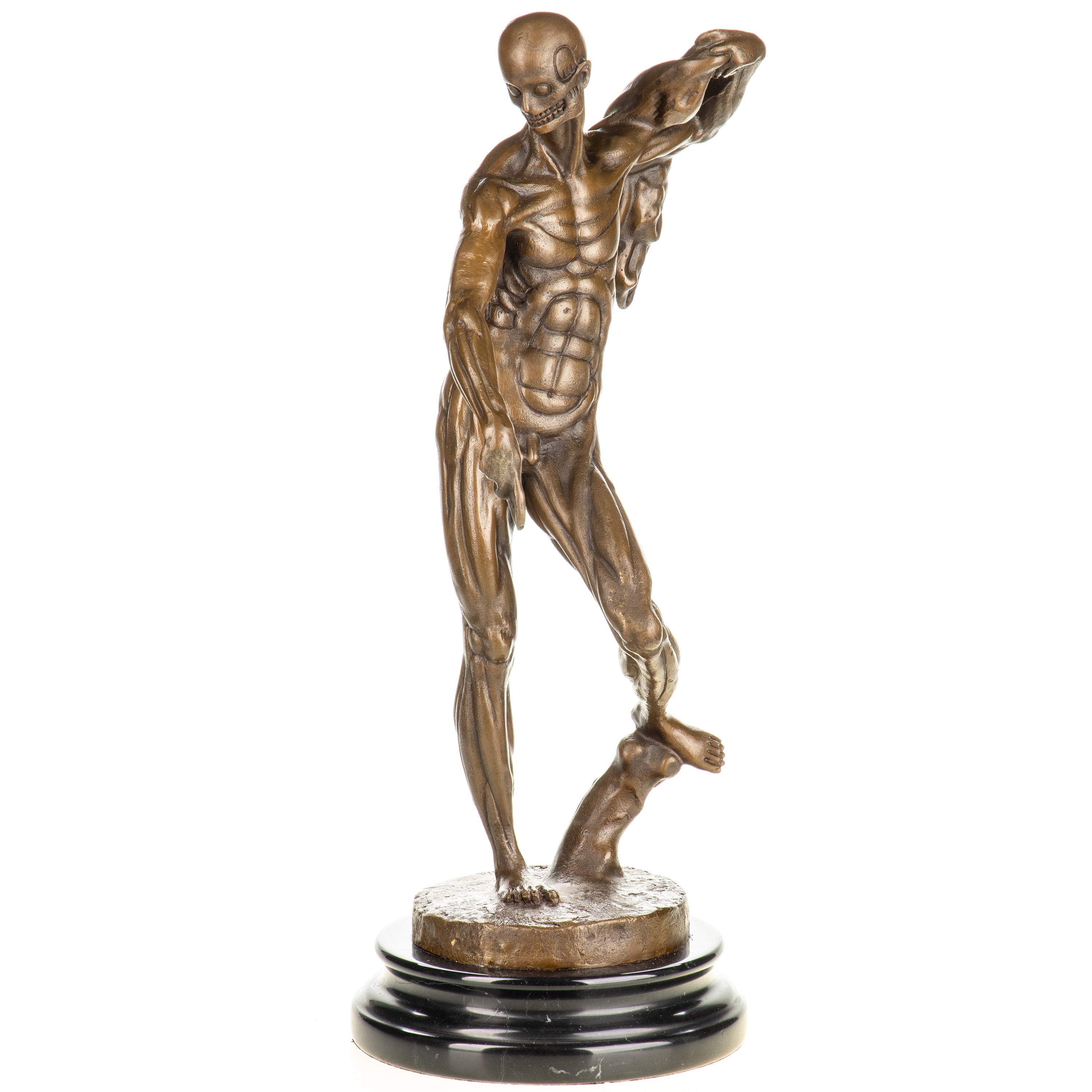 Anatomy of a Man Bronze Sculpture after P. Franqueville