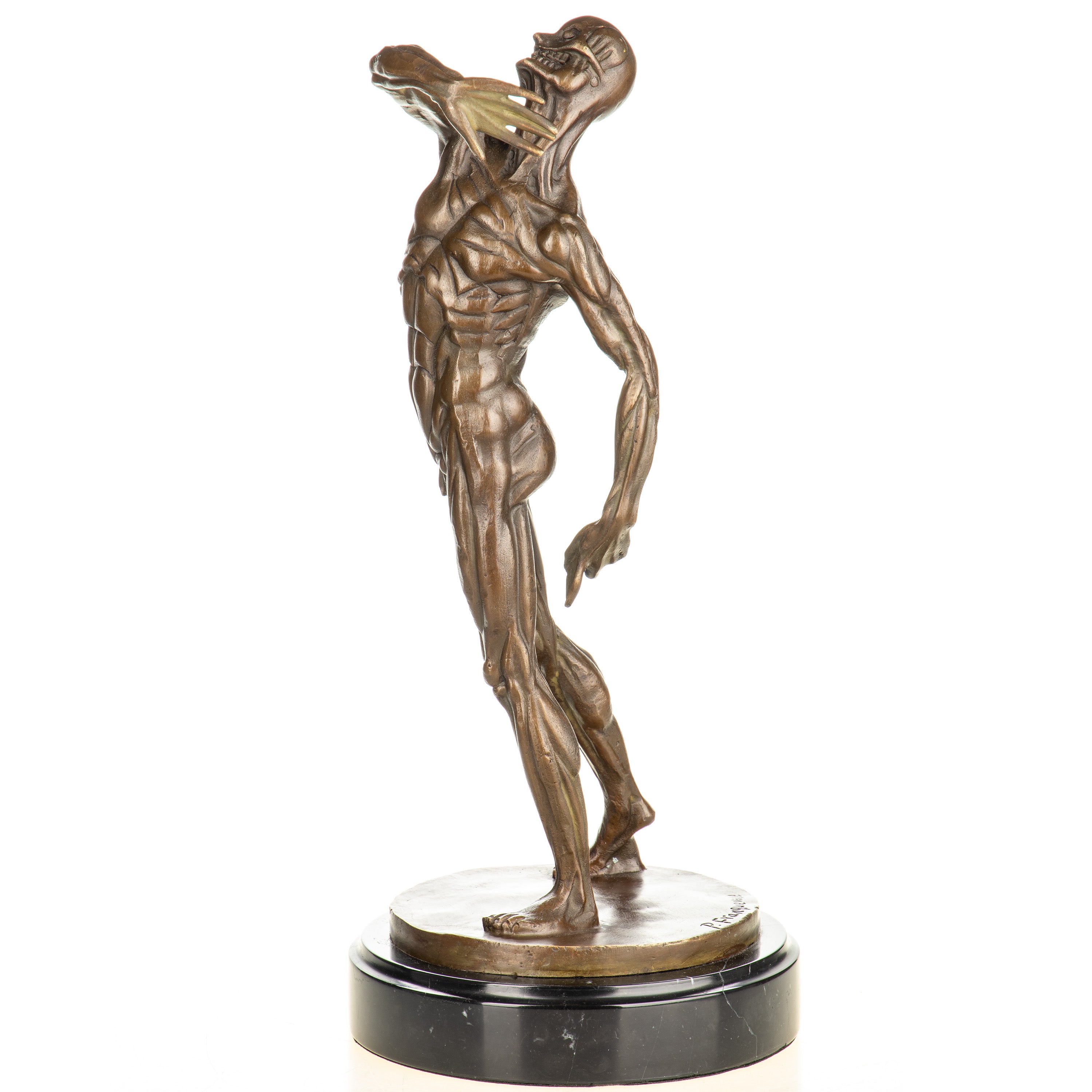 Anatomy of a Man Bronze Sculpture after Franqueville – Large