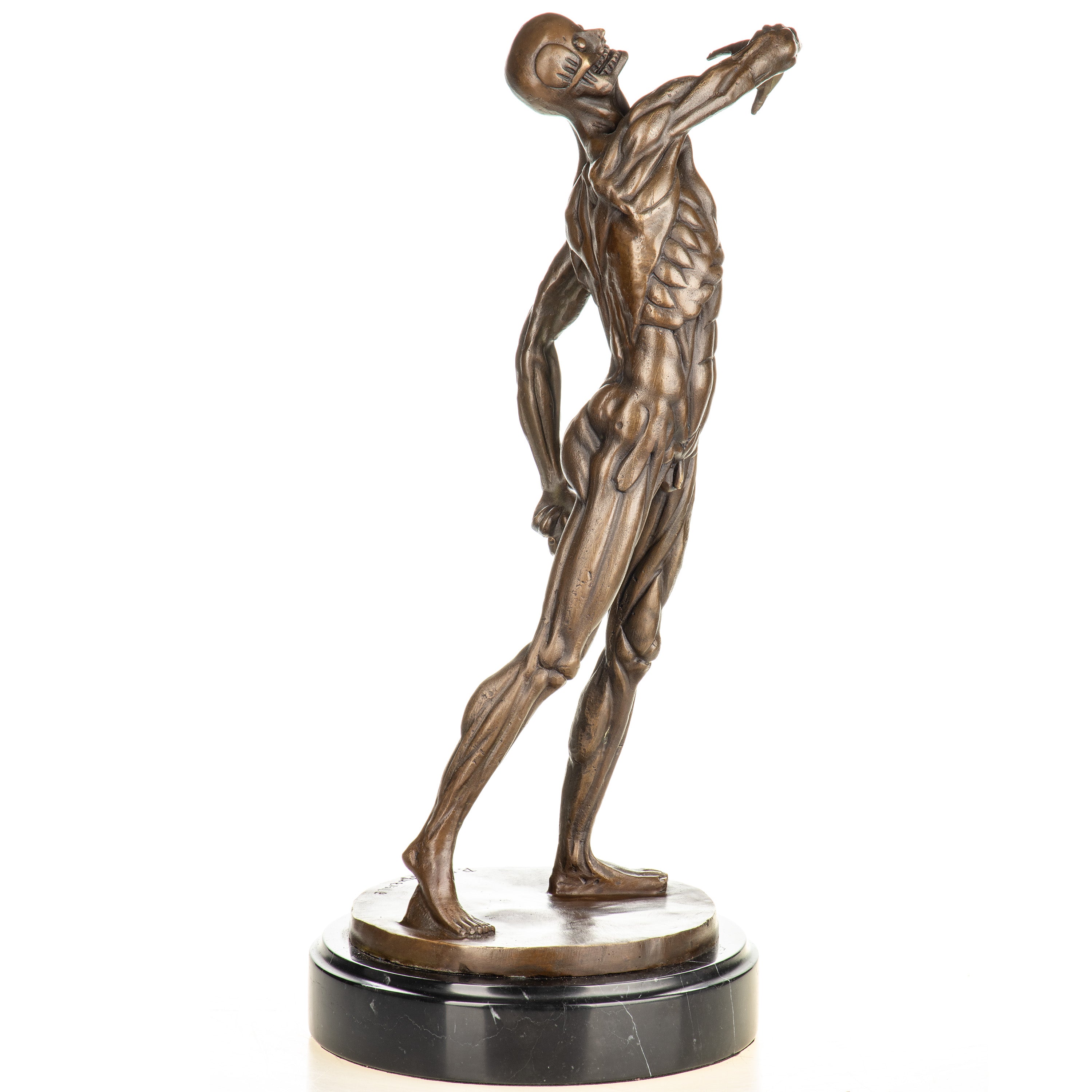 Anatomy of a Man Bronze Sculpture after Franqueville – Large