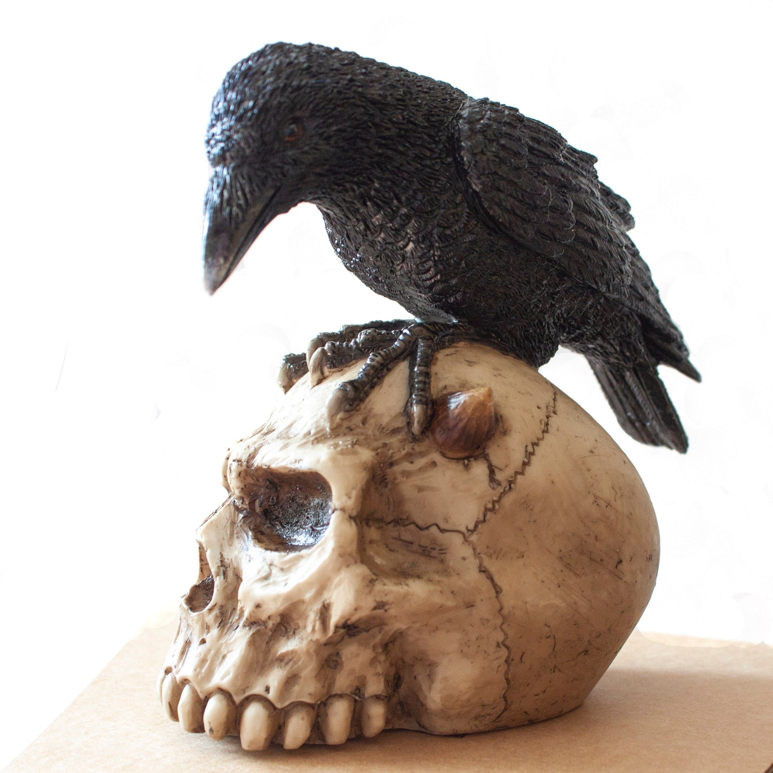 Resin Skull and Raven Statue, Veronese Design