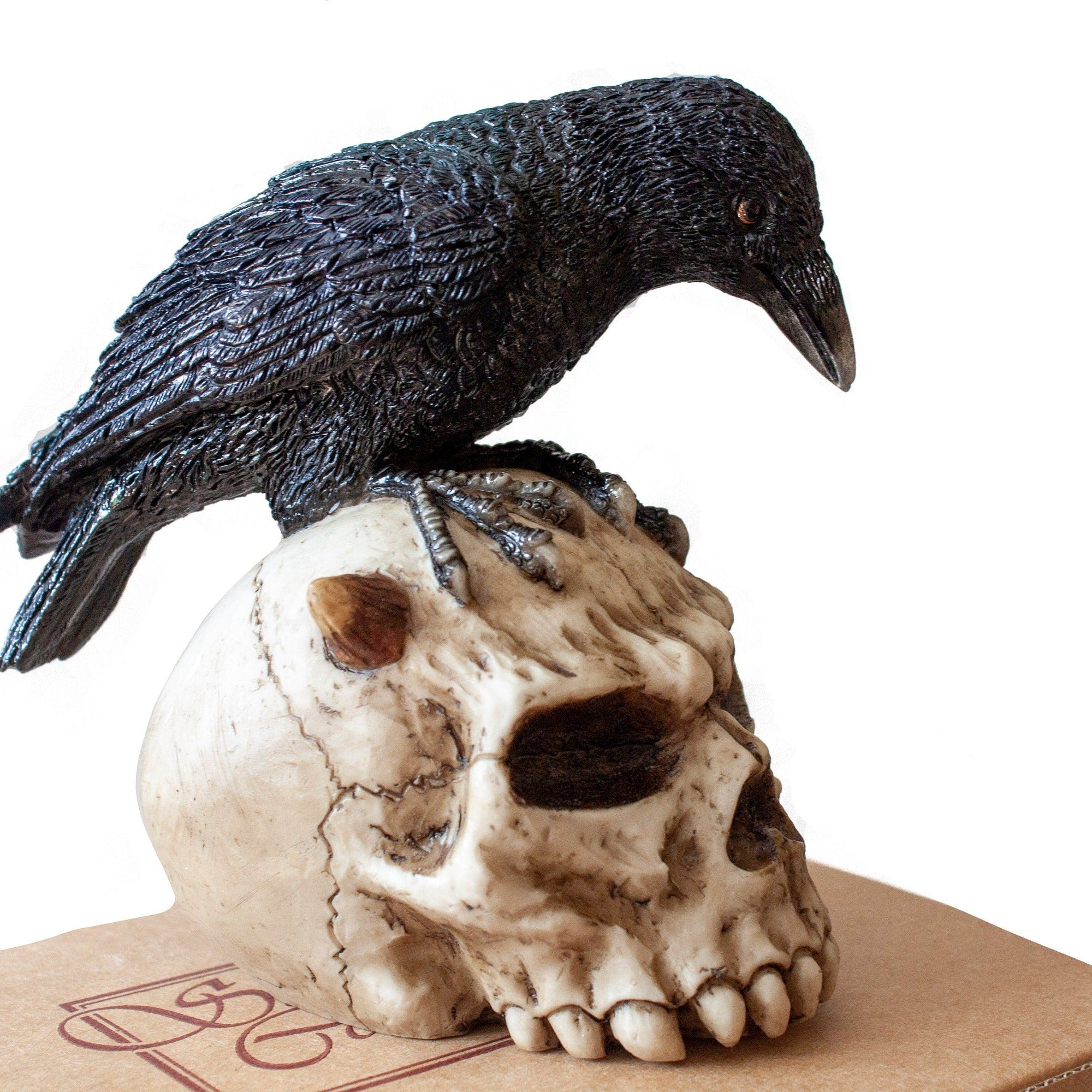 Resin Skull and Raven Statue, Veronese Design