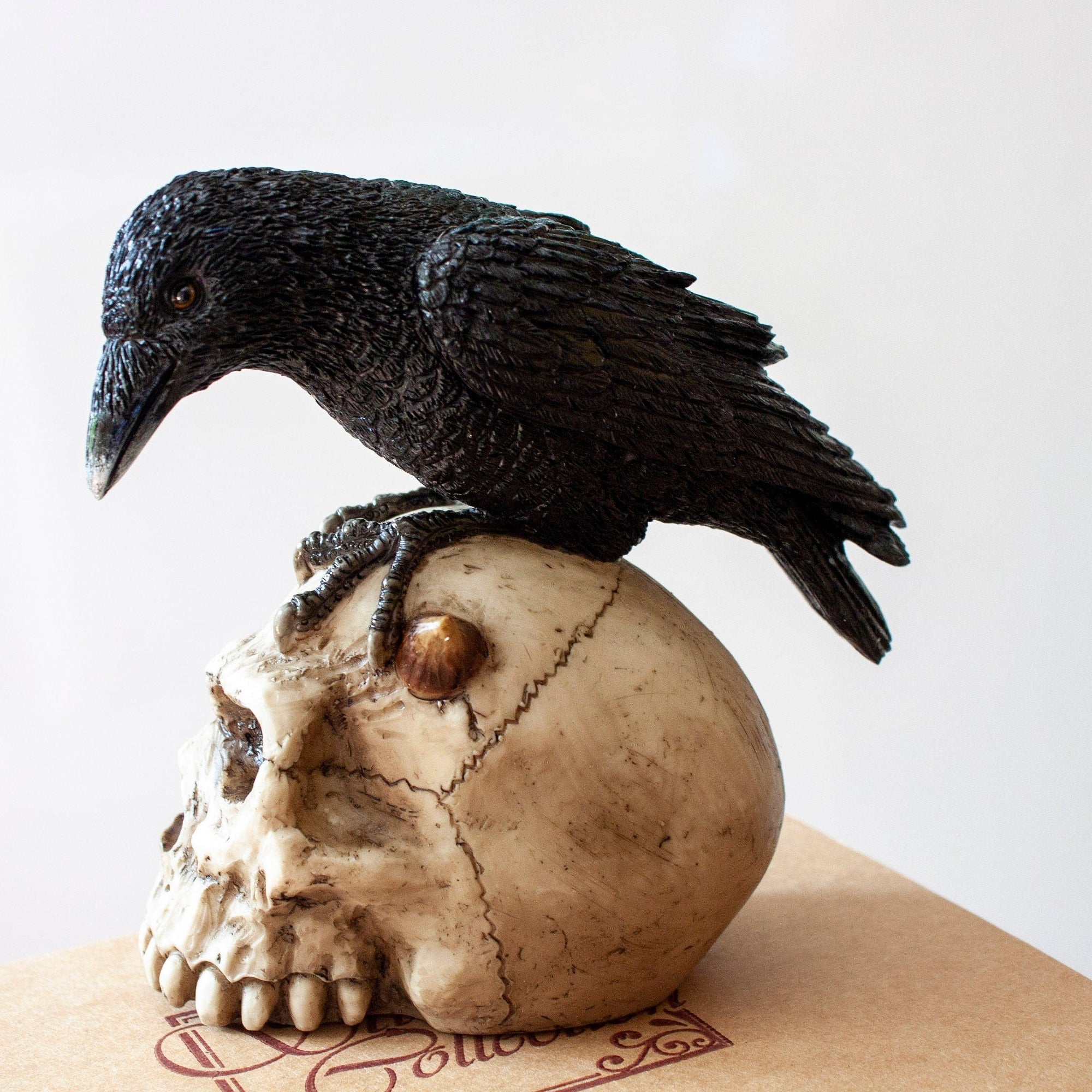 Resin Skull and Raven Statue, Veronese Design