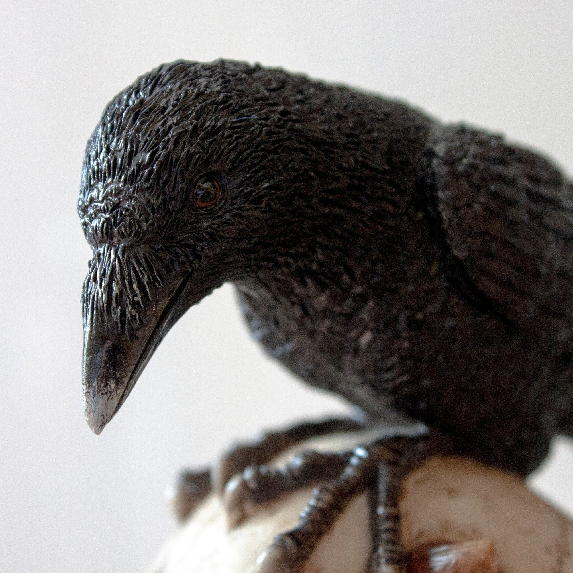 Resin Skull and Raven Statue, Veronese Design