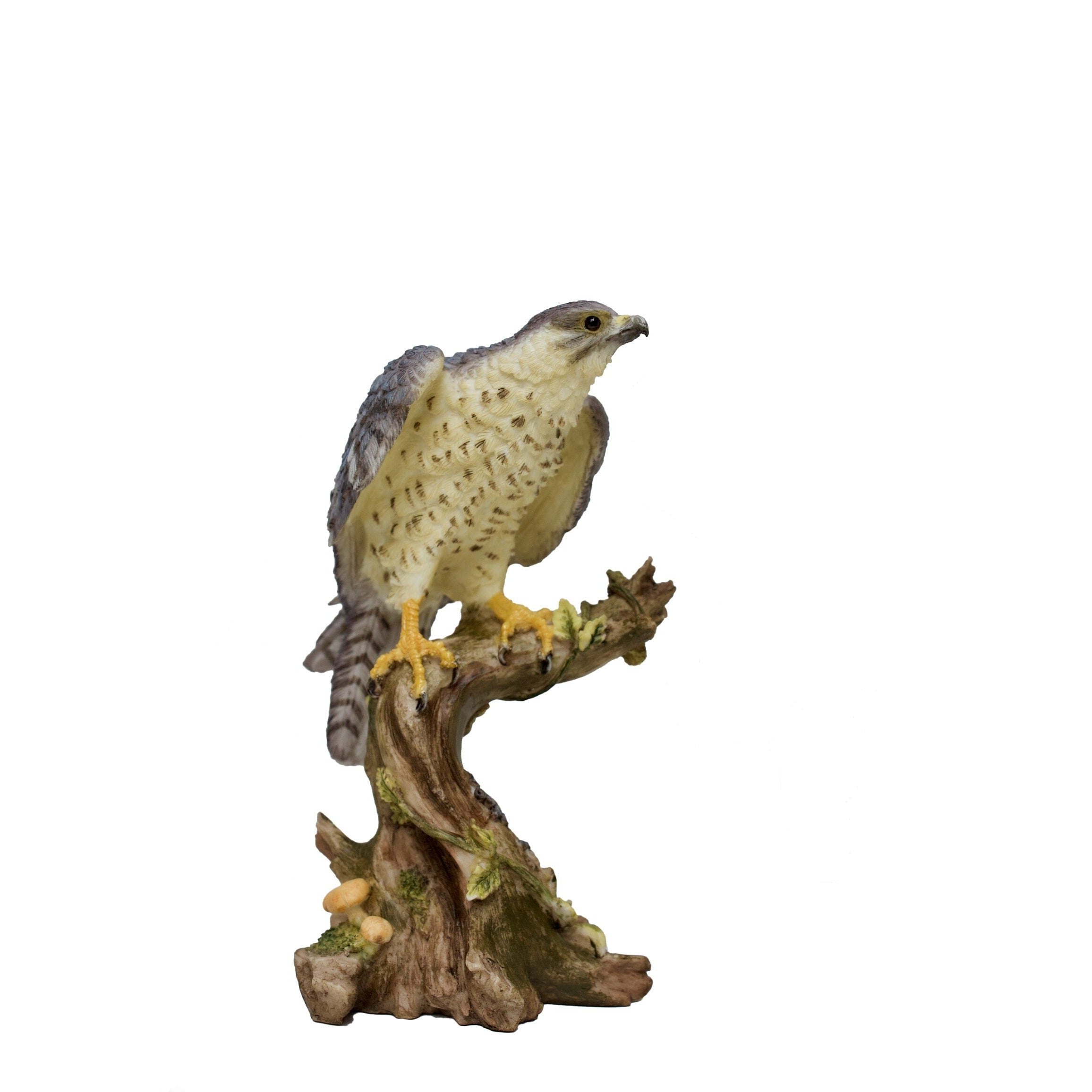 5.9 Inc Falcon resin Statue